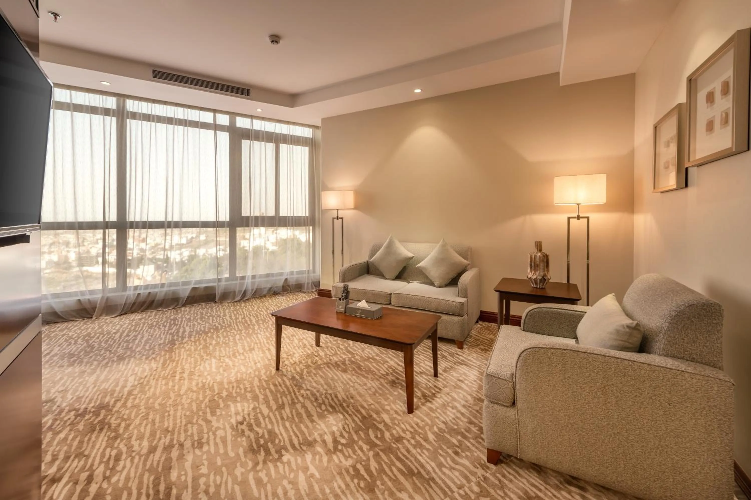 TV and multimedia in Sarwat Park Hotel