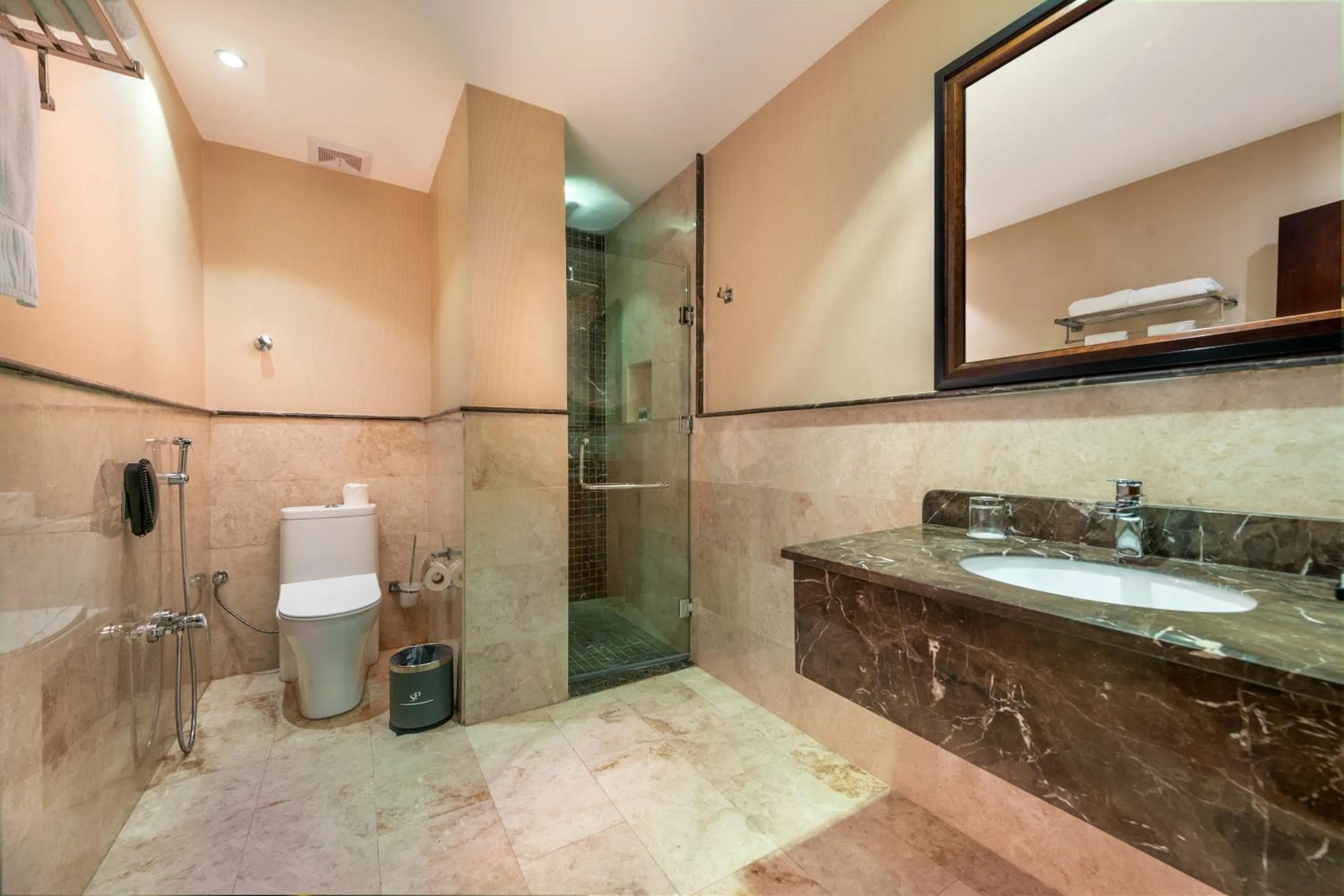 Shower in Sarwat Park Hotel