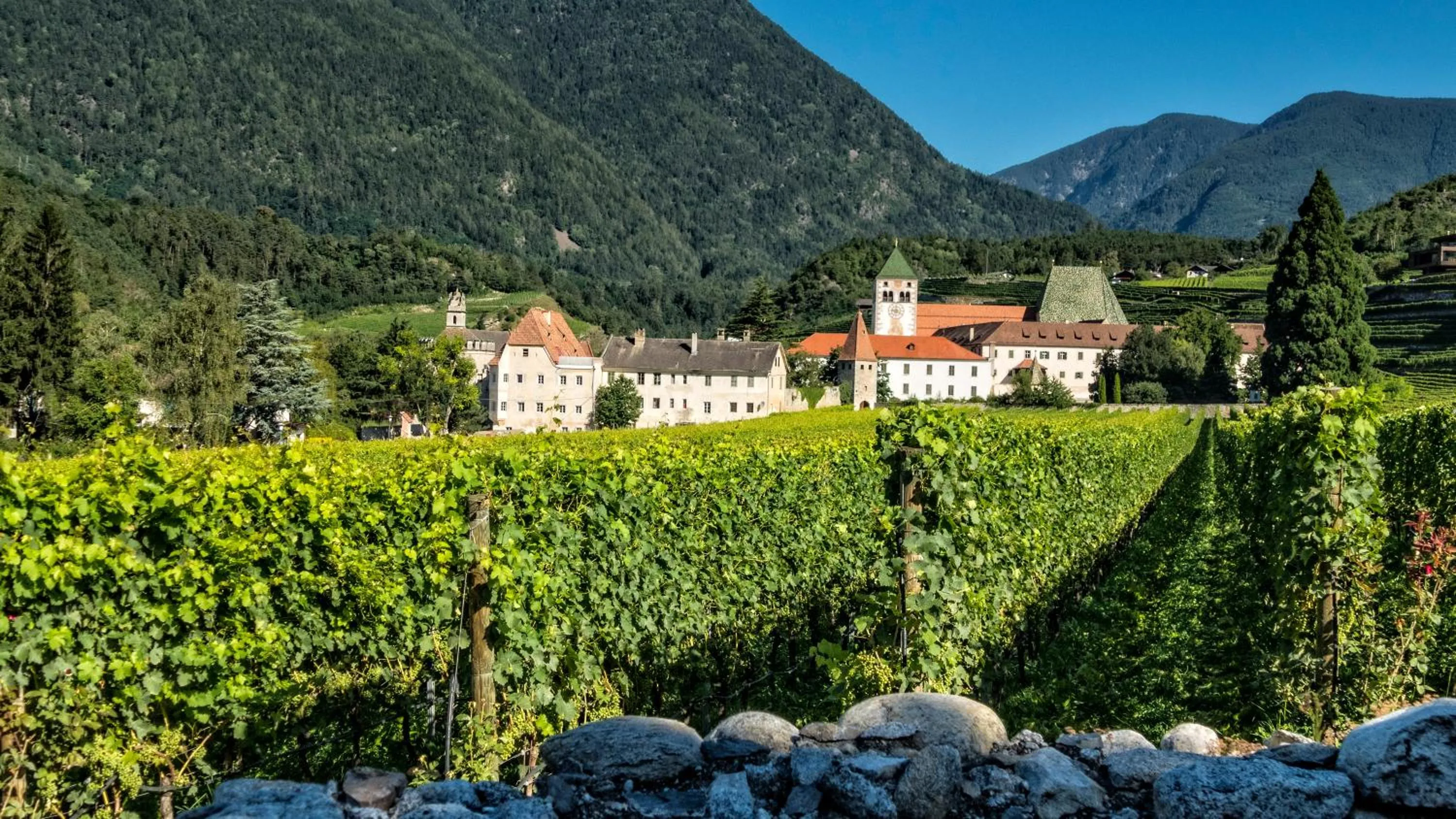 Natural landscape in Hotel Brückenwirt