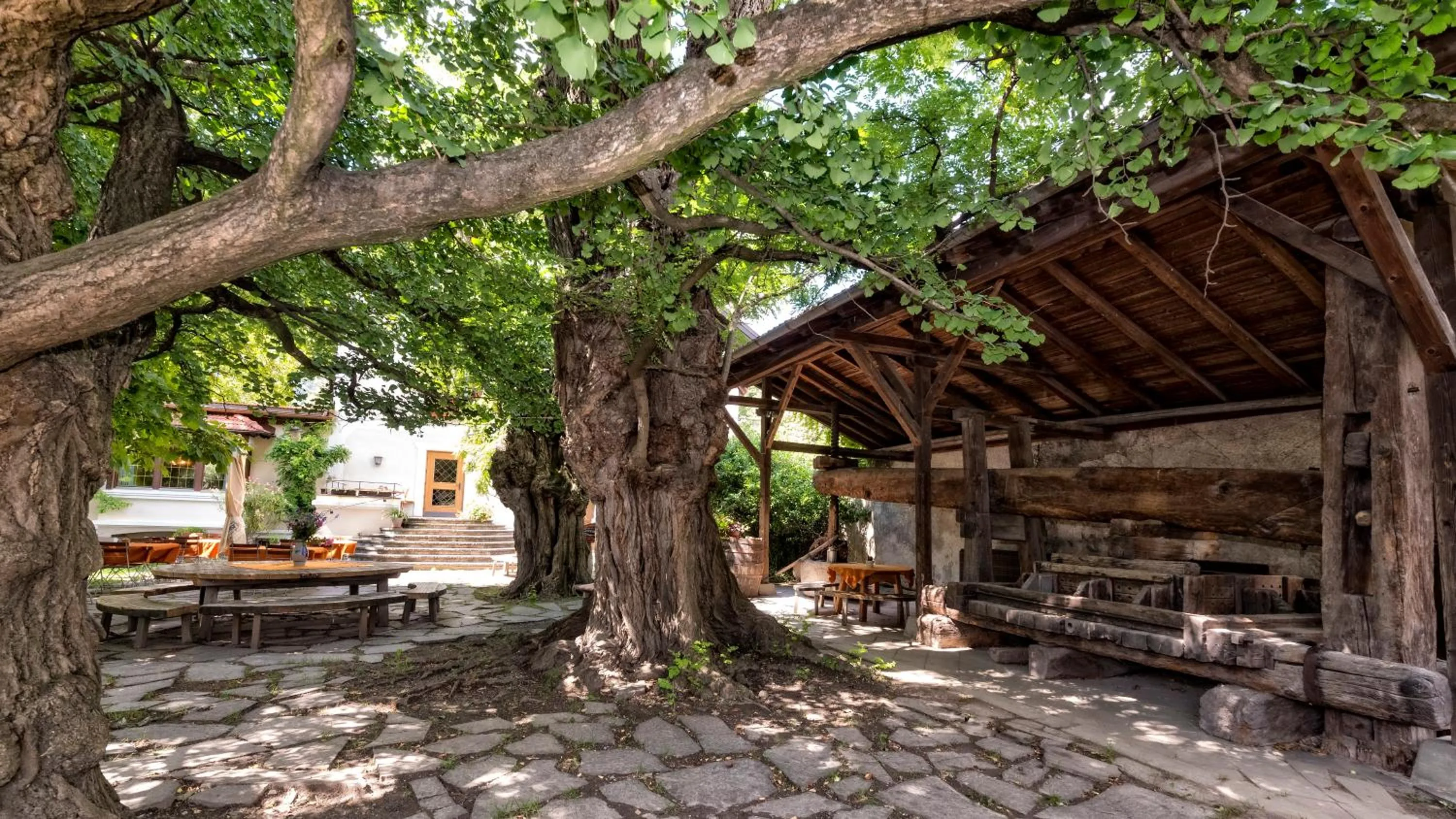 Patio in Hotel Brückenwirt