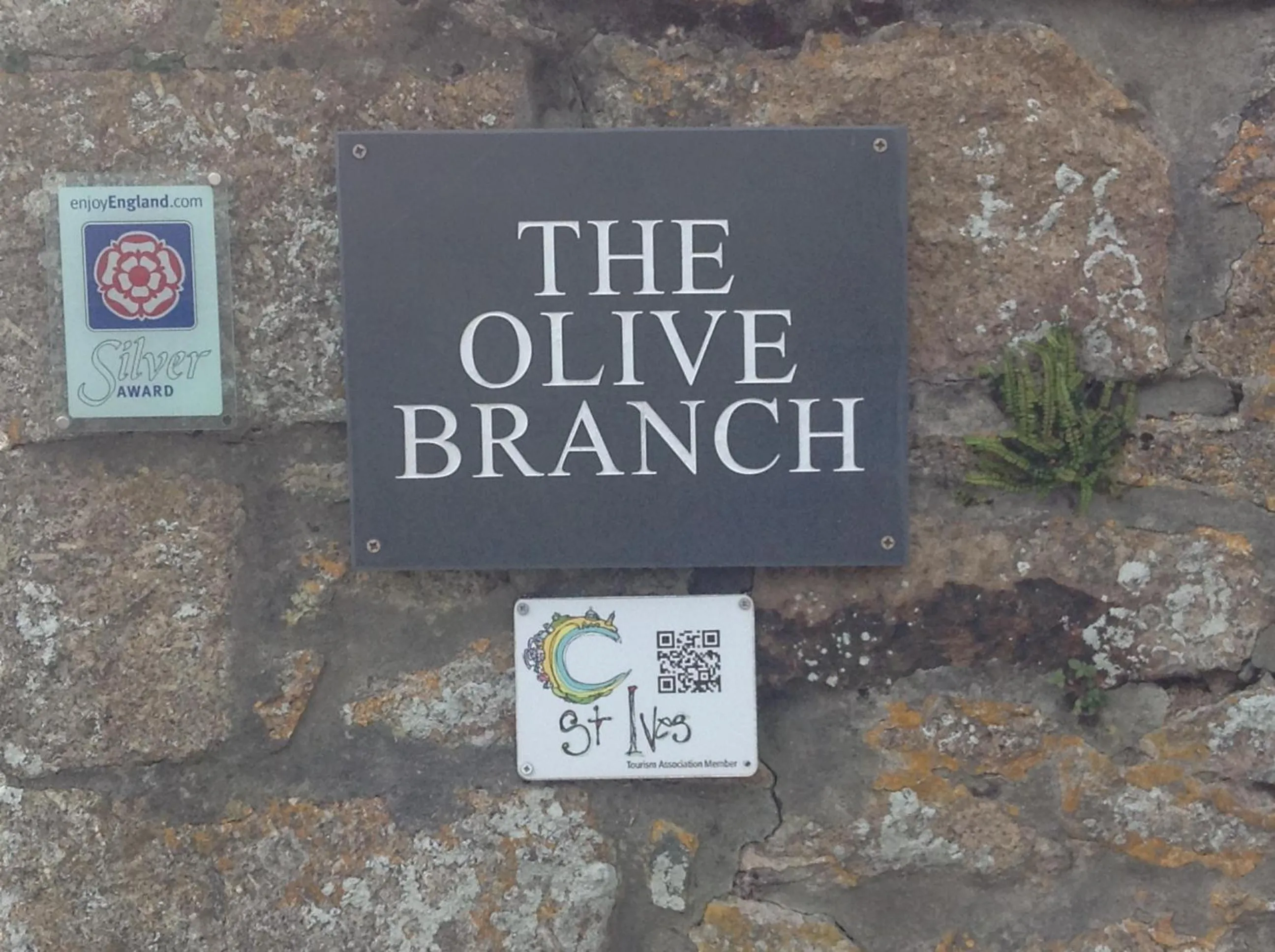 Decorative detail in The Olive Branch