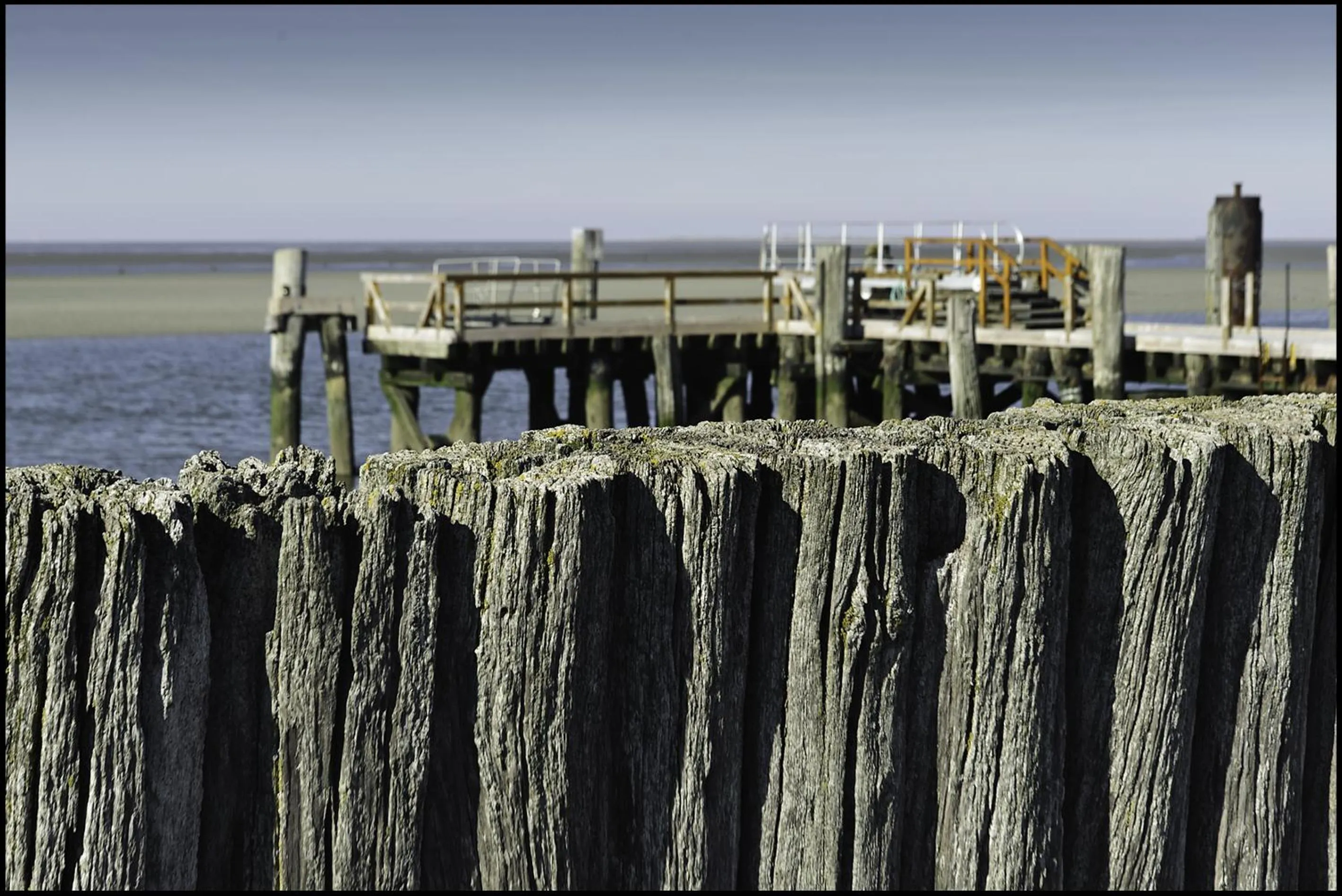 Natural landscape in Hotel Nige Hus
