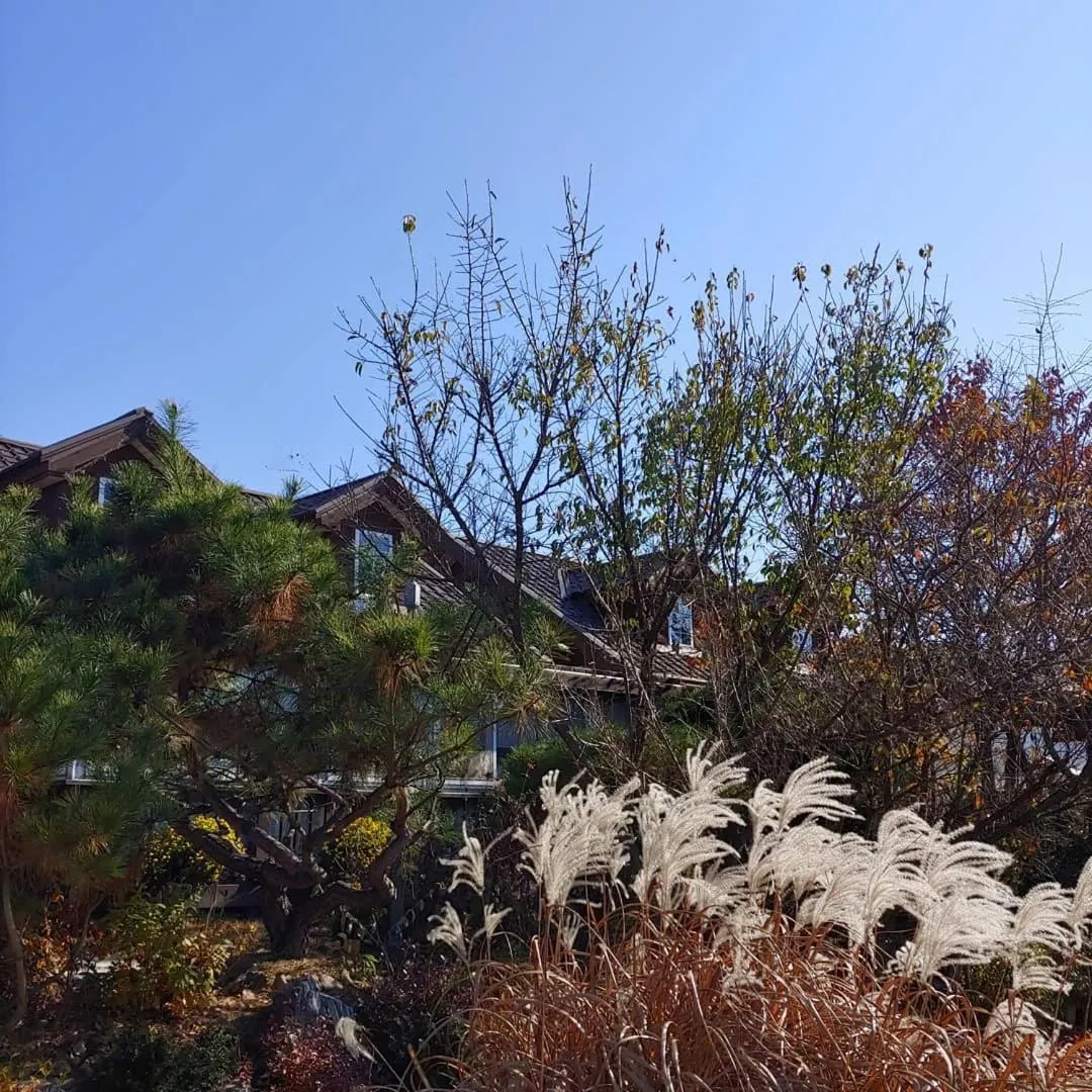 Paju Gamaksan Pension