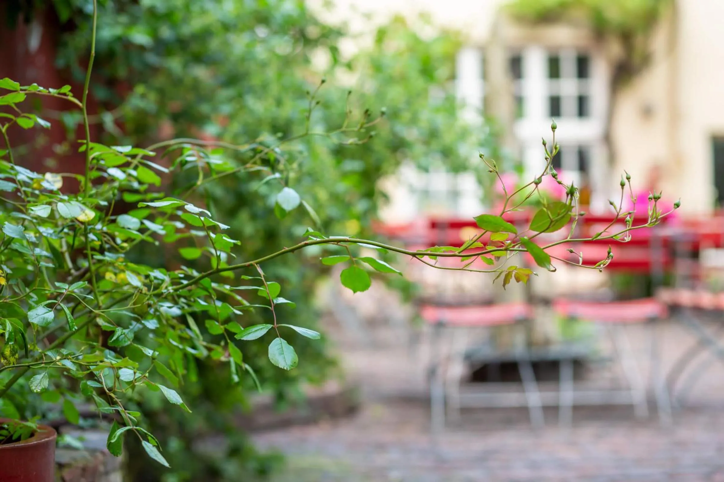 Patio in Hotel Tafelfreuden