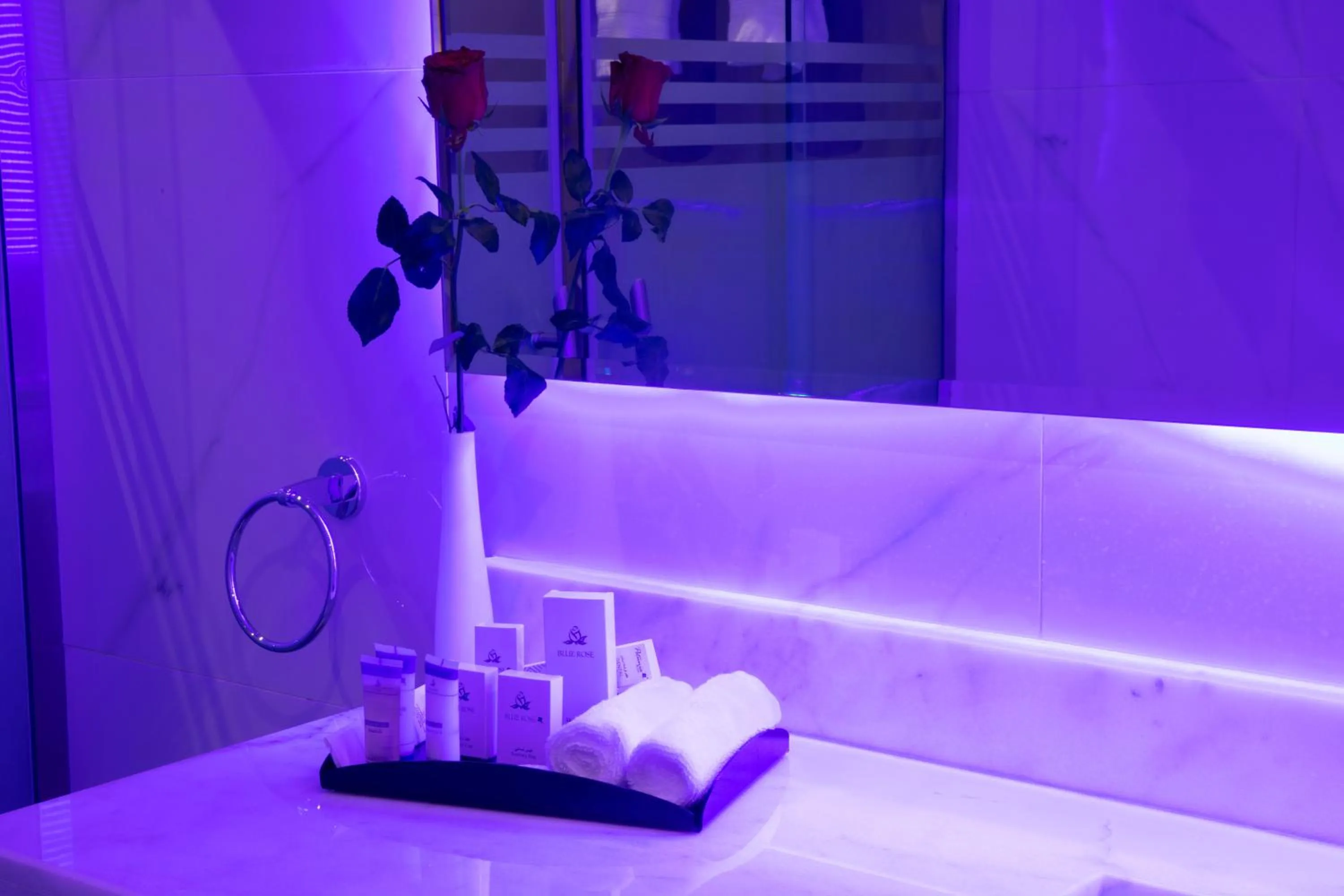 Bathroom in Swiss Luxury Villas