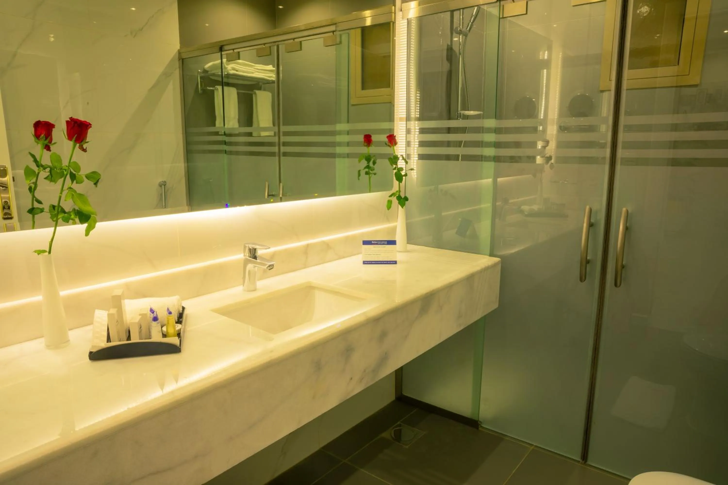 Shower in Swiss Luxury Villas