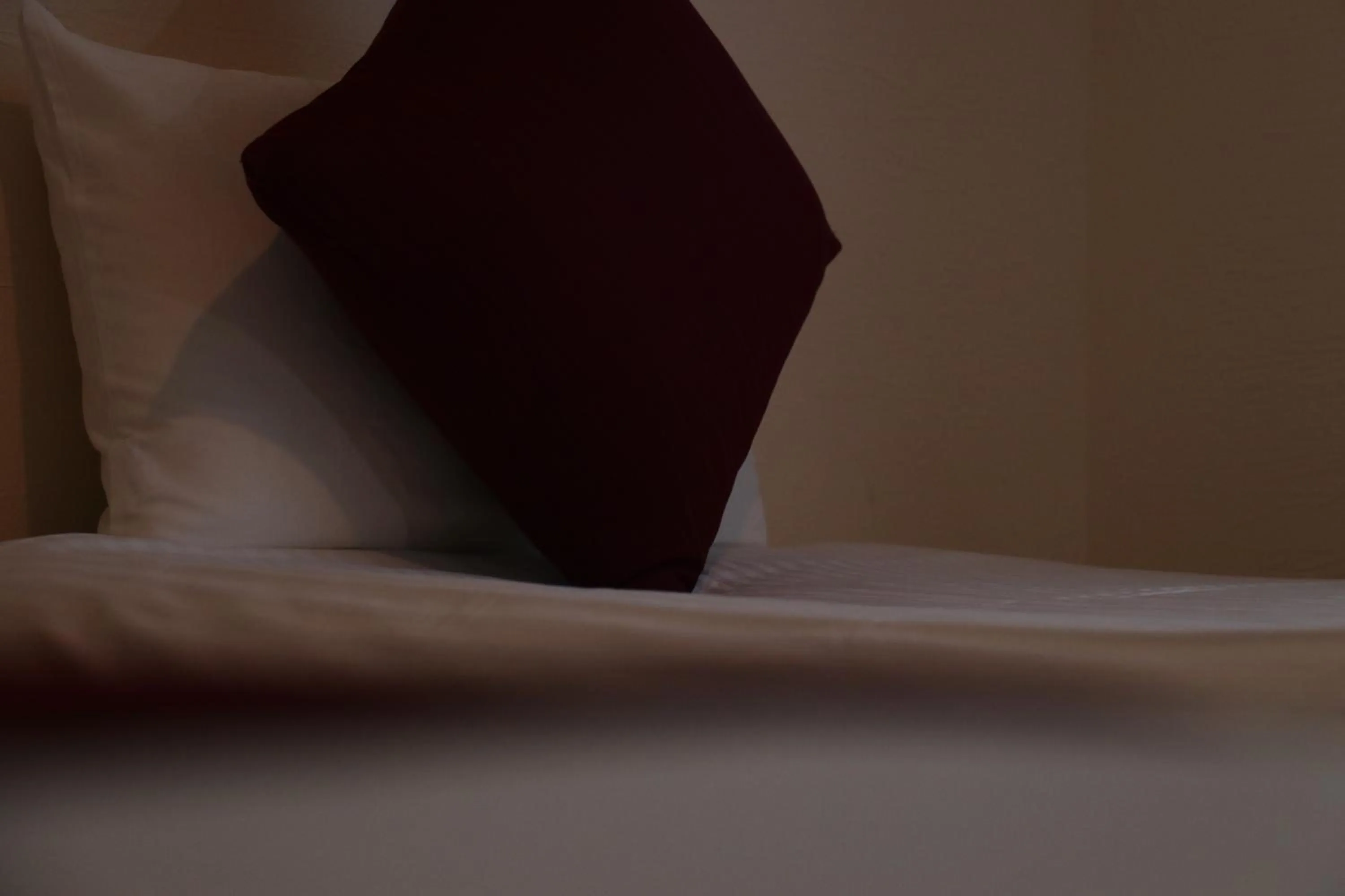 Bed in AsobiBASE Yamabare-House