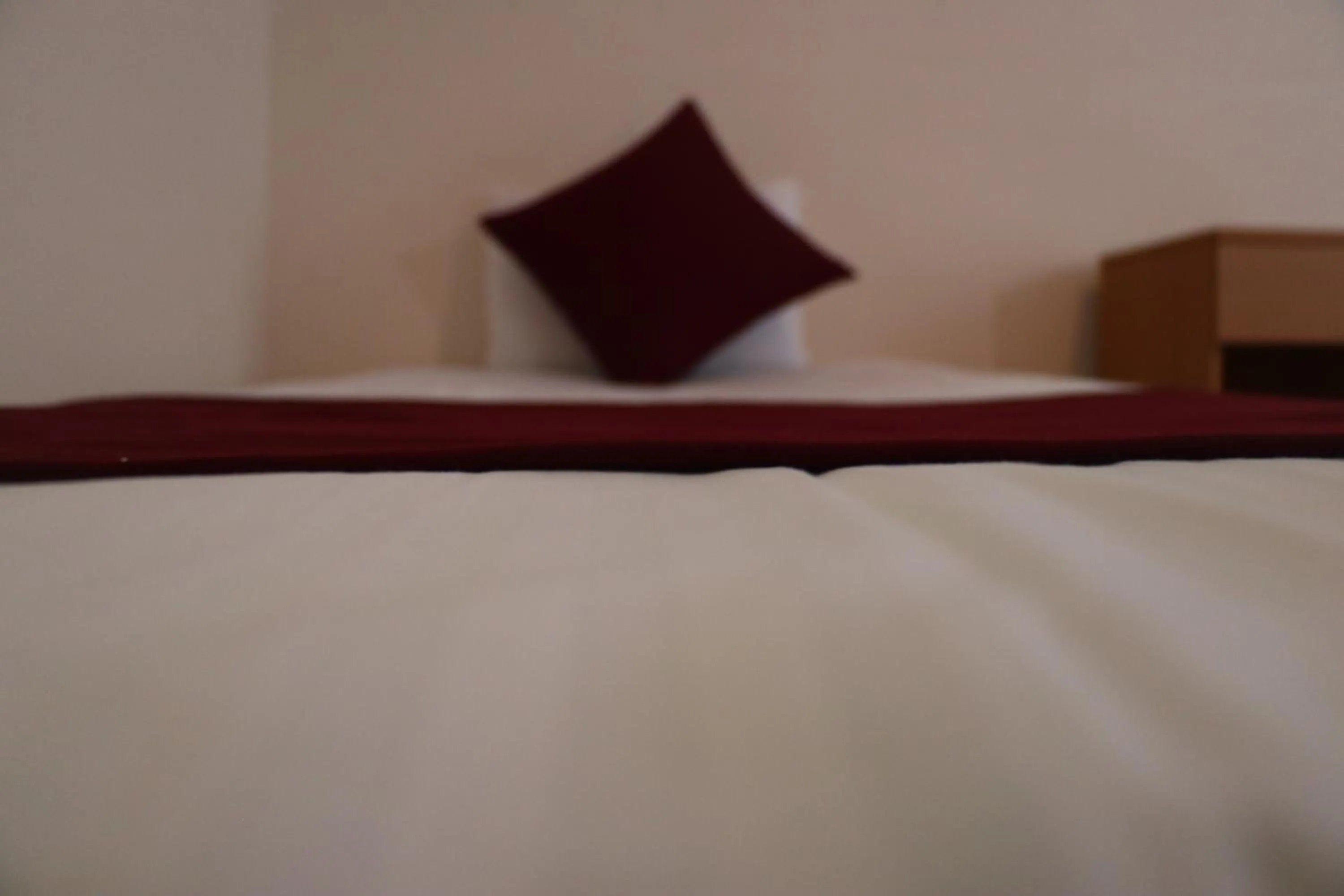 Bed in AsobiBASE Yamabare-House