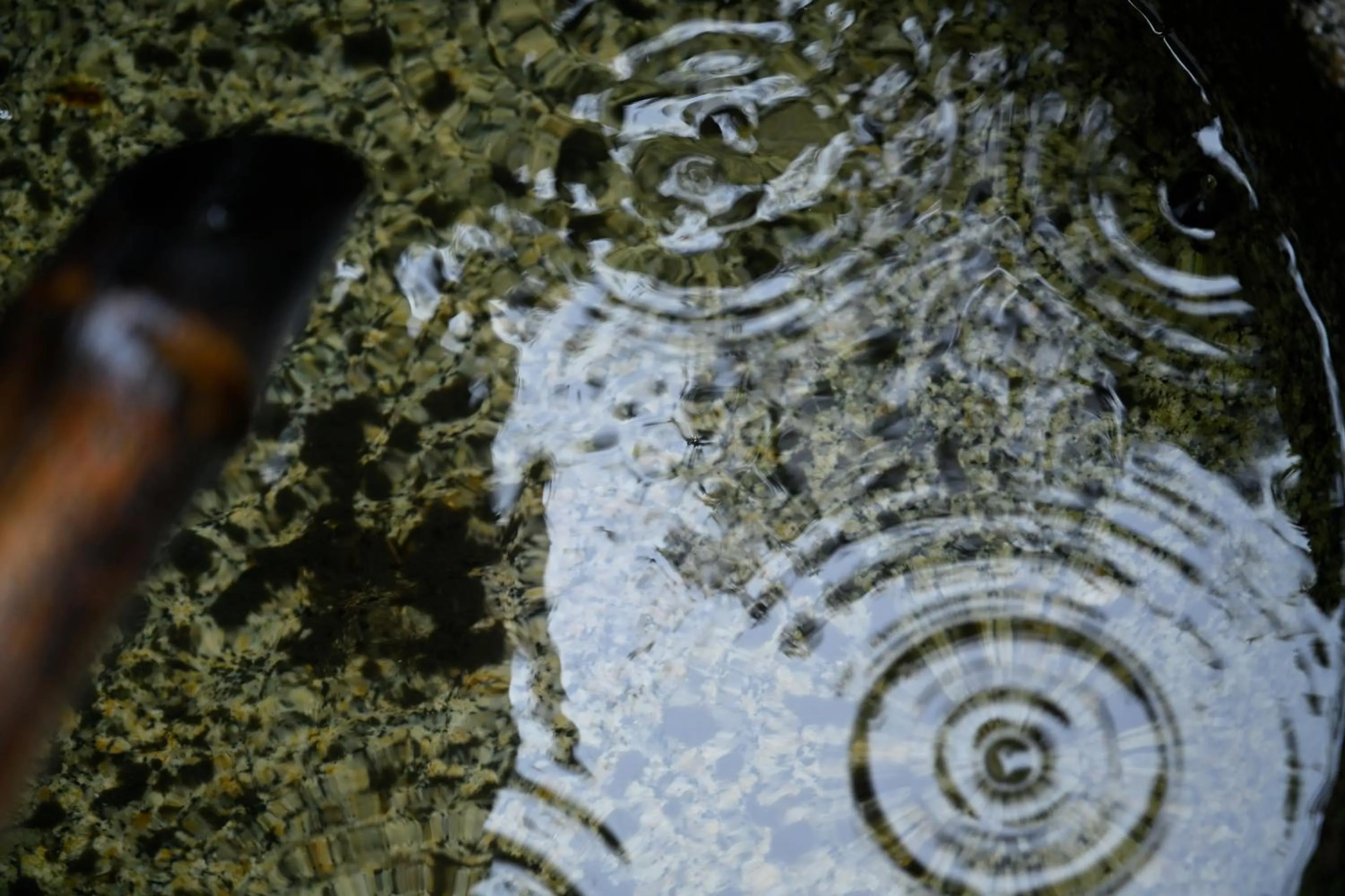 Day in Nishijin Fujita