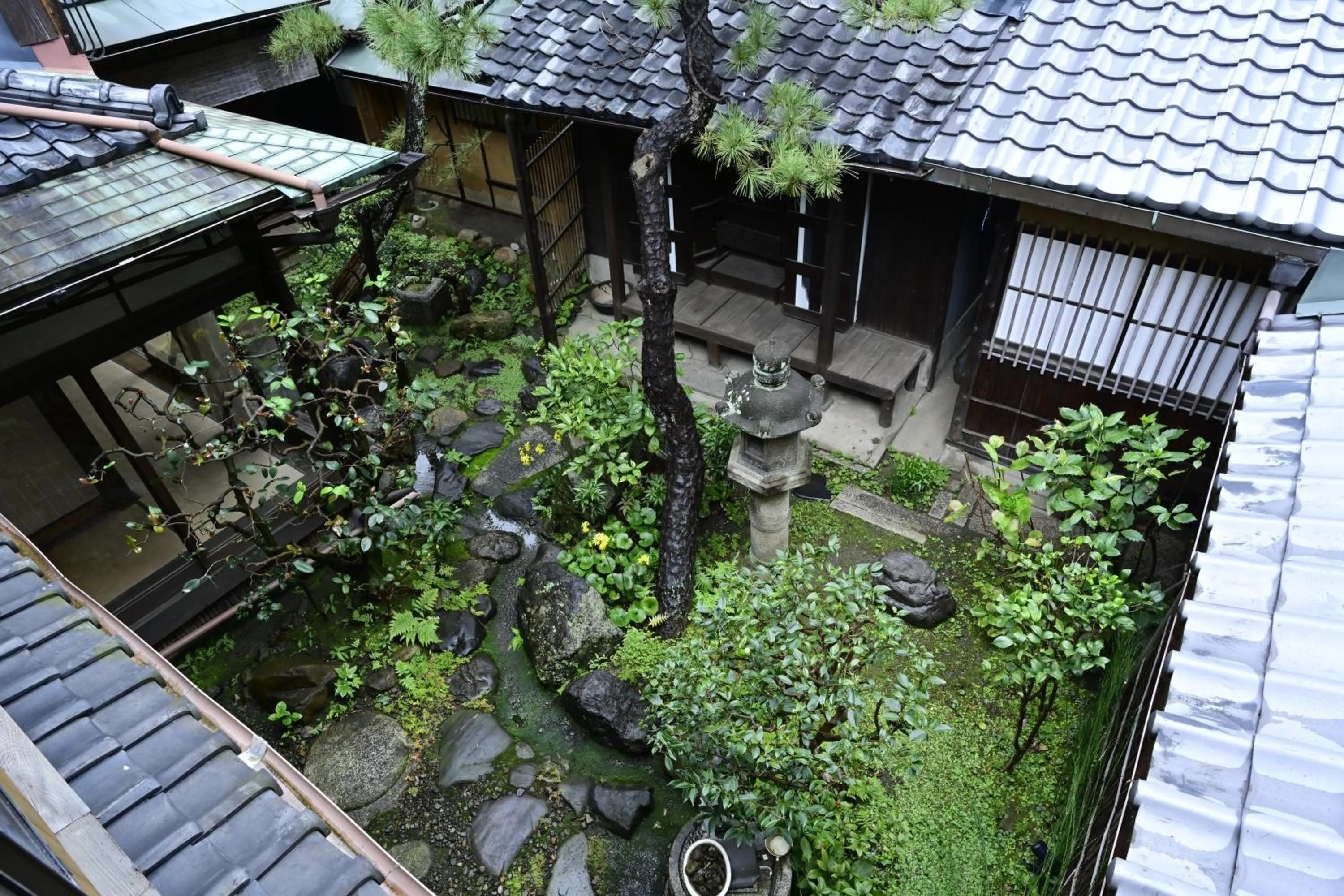 Garden in Nishijin Fujita