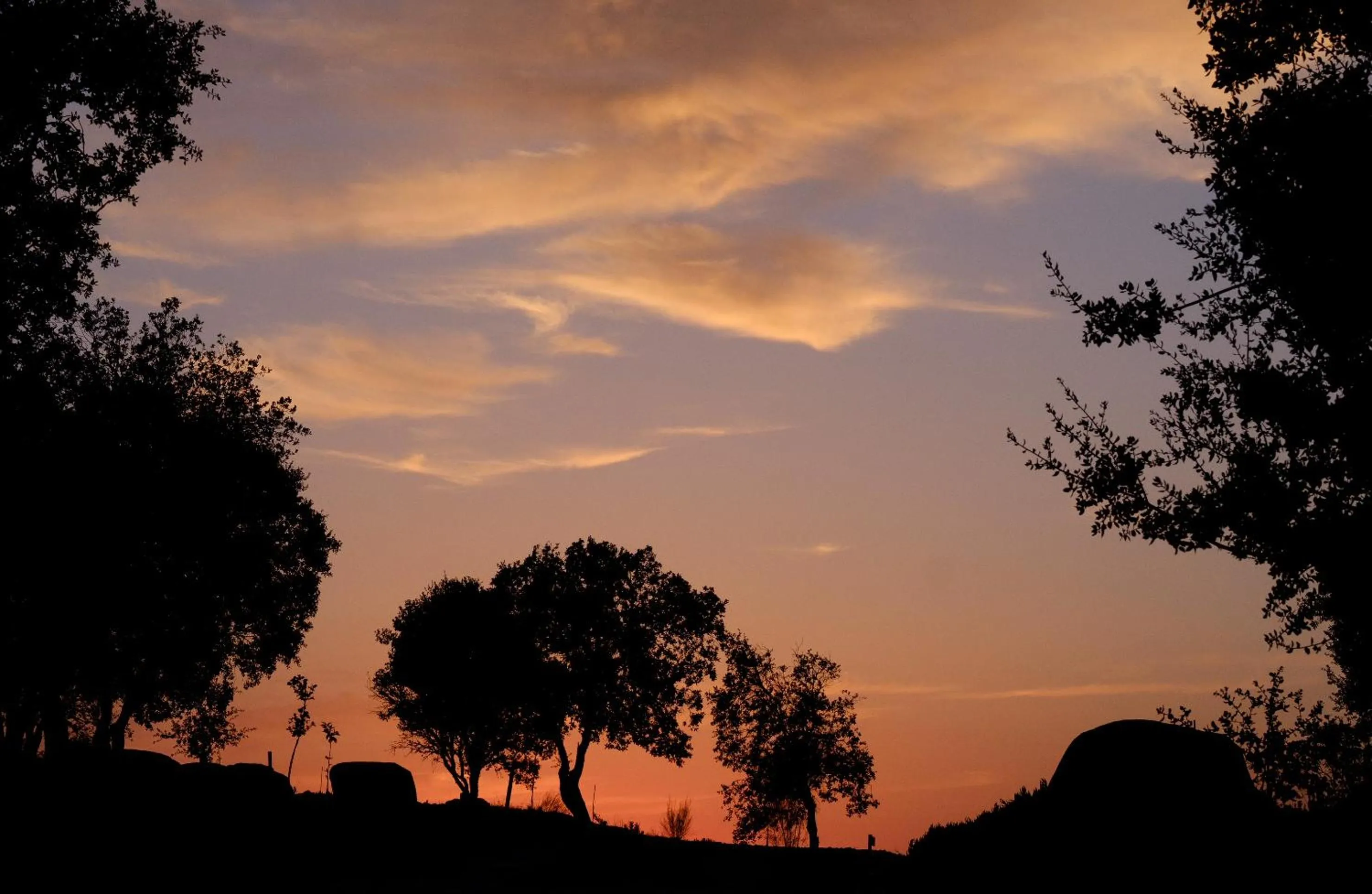 Natural landscape in Montimerso Skyscape Countryhouse