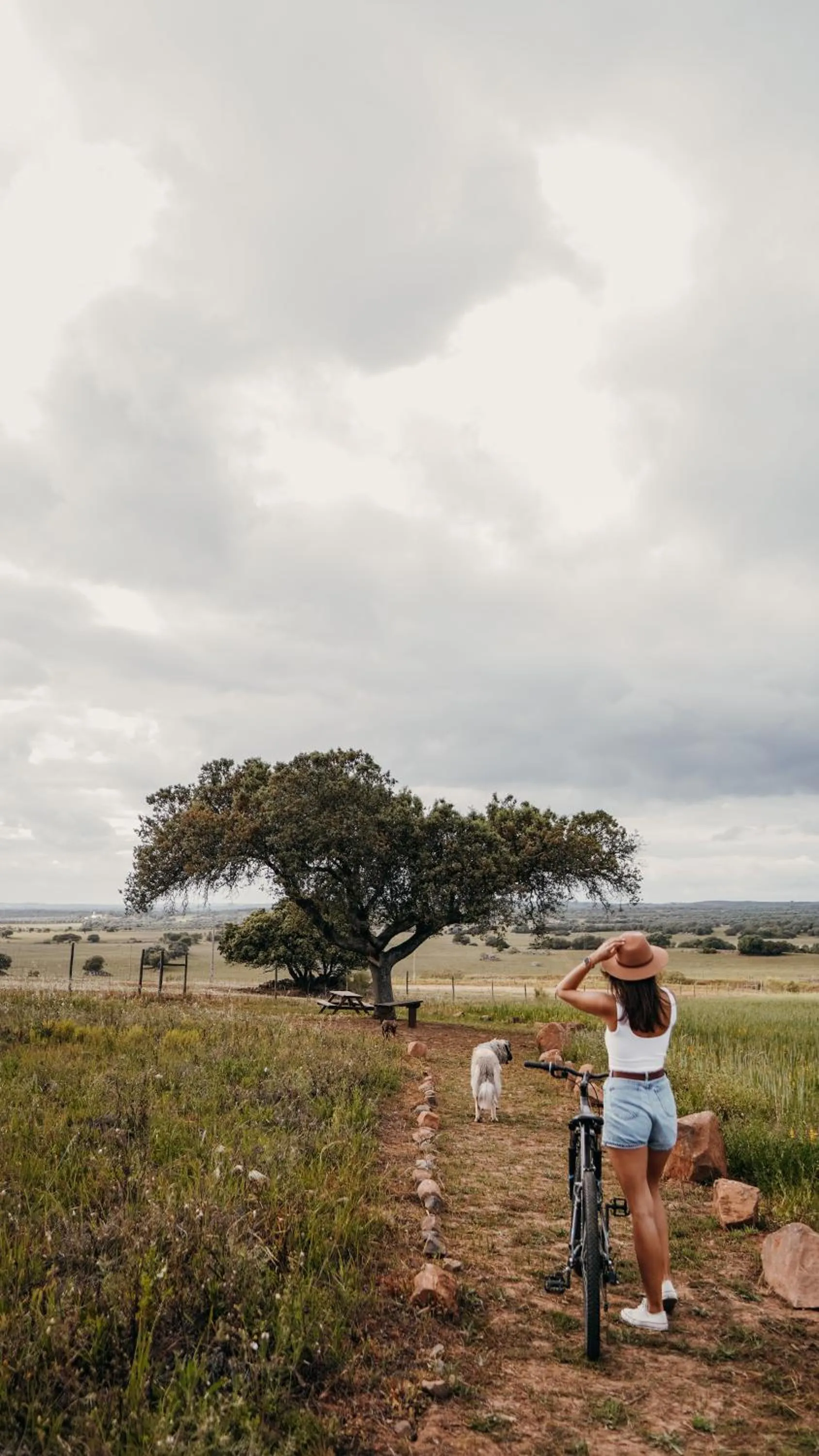 View (from property/room) in Montimerso Skyscape Countryhouse