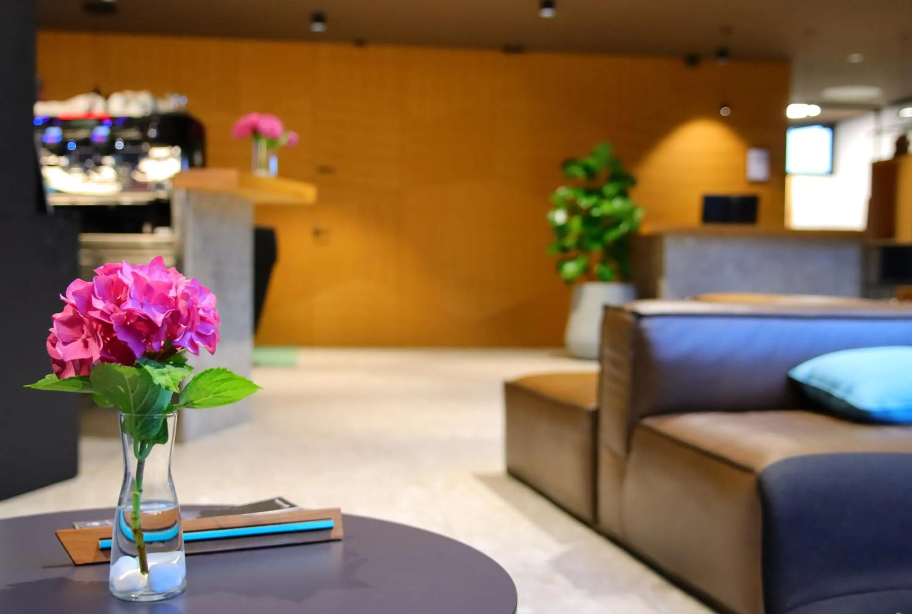 Lounge or bar in Hotel Soča