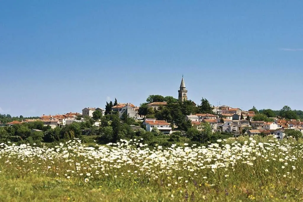 Villa Roža