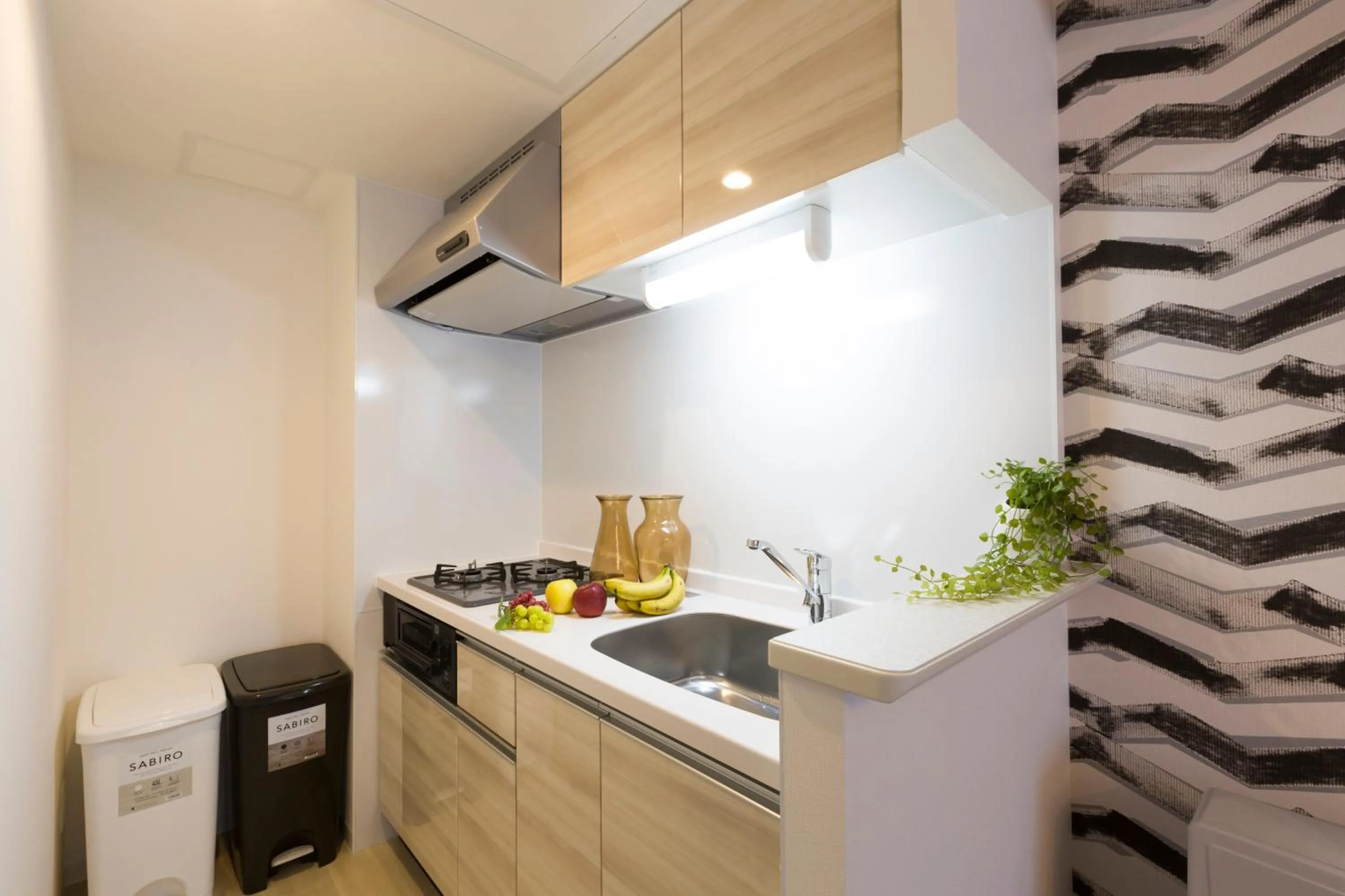 Kitchen or kitchenette in Hotel ONE'S RESIDENCE