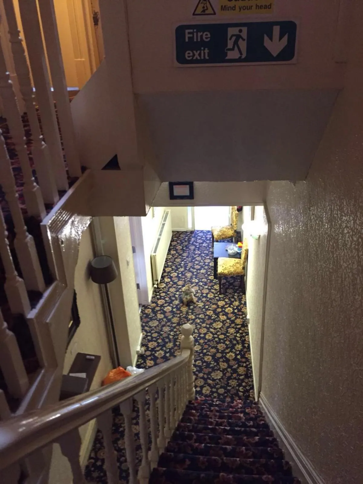 Decorative detail in MyRoomz New Discovery Hotel