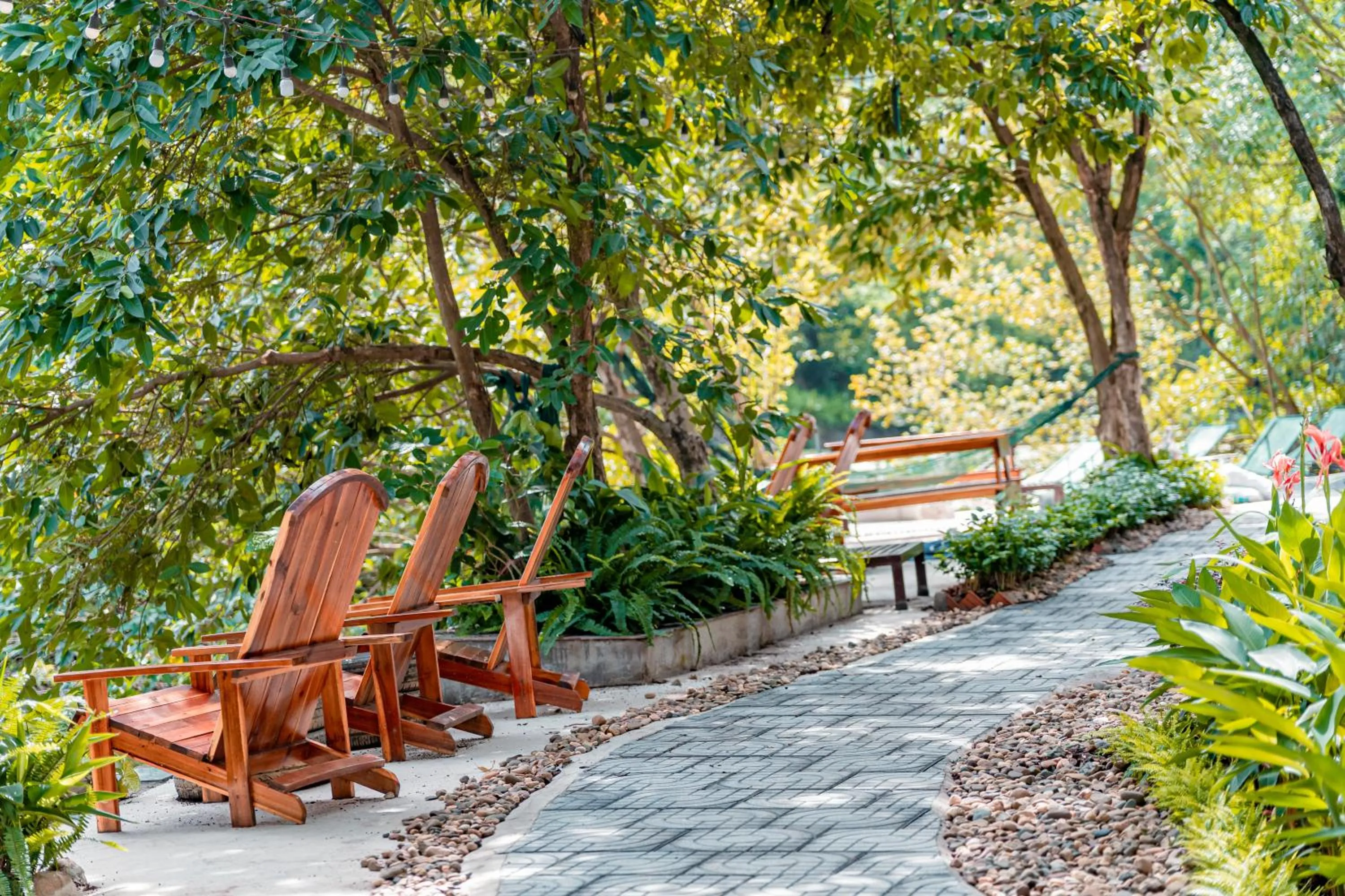 Natural landscape in Trang An Freedom Hood