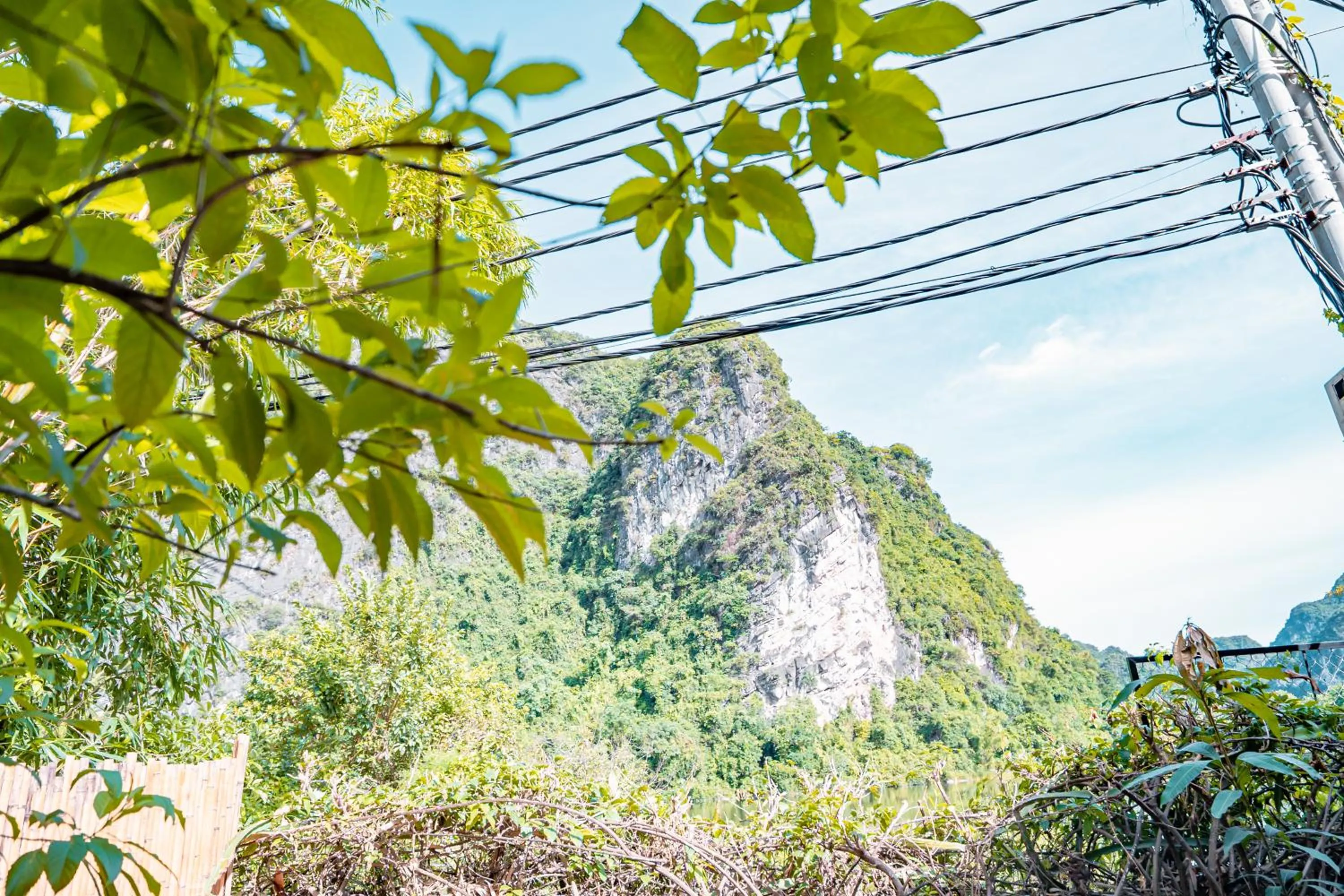 Property building in Trang An Freedom Hood