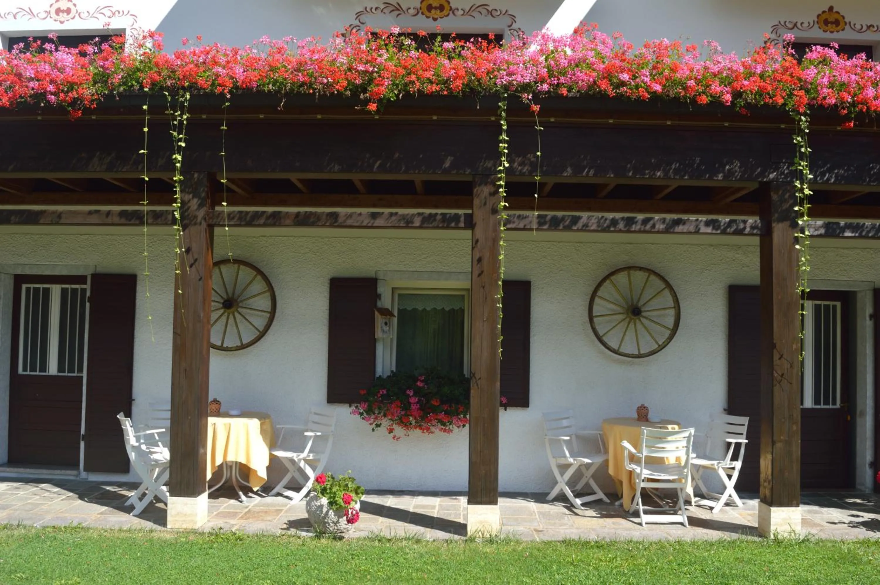 Garden in Hotel Panoramic