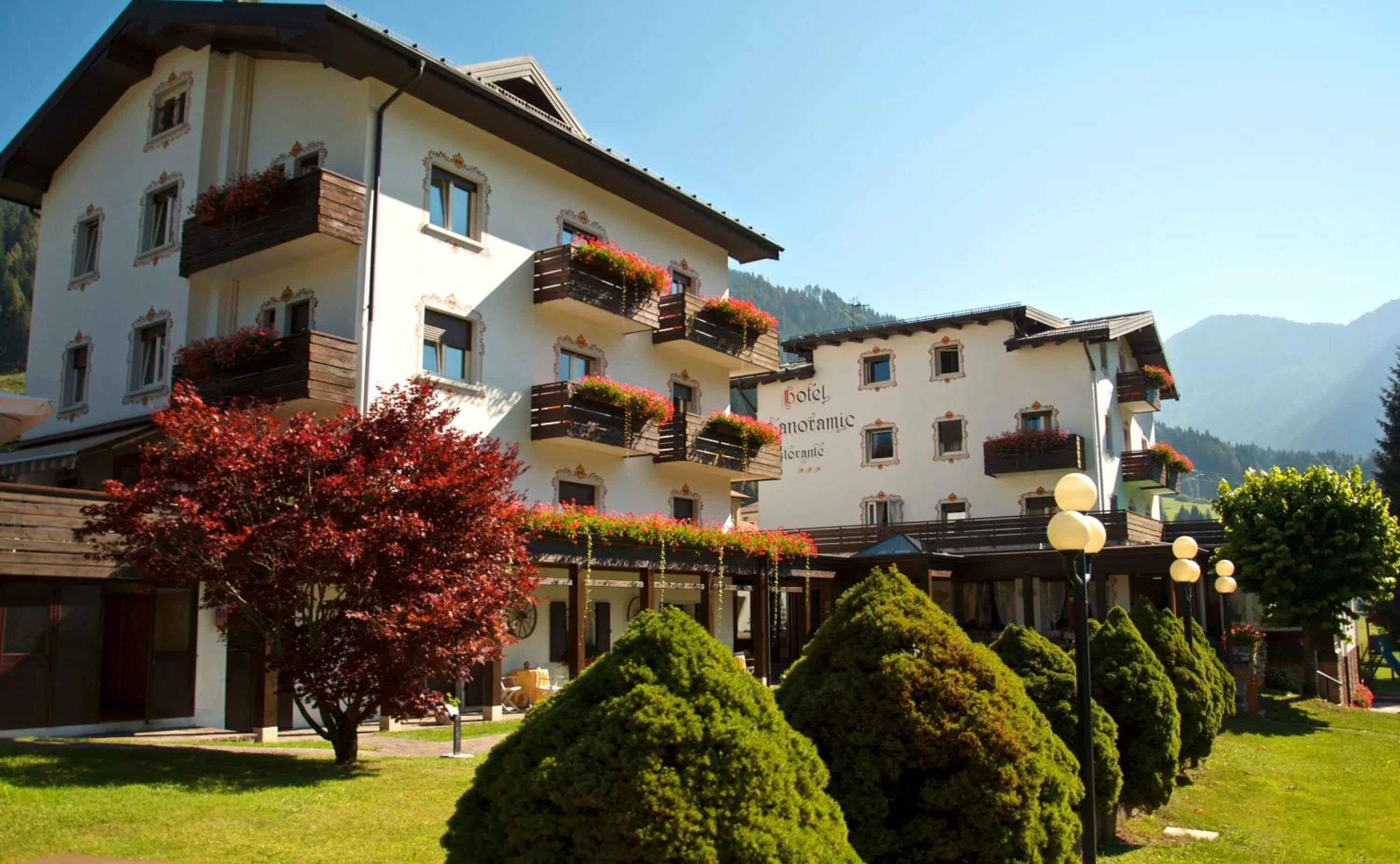 Garden in Hotel Panoramic