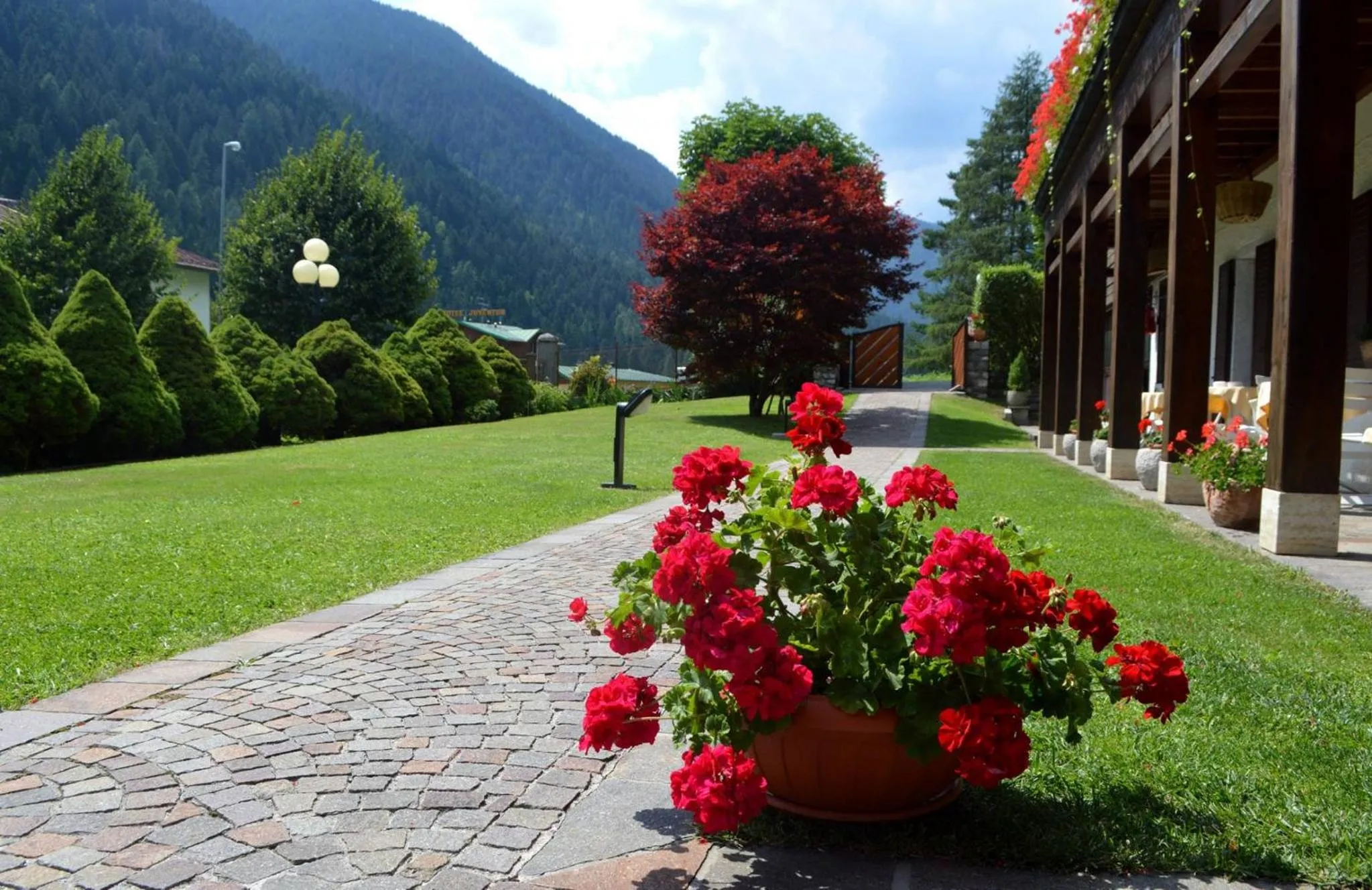 Garden in Hotel Panoramic