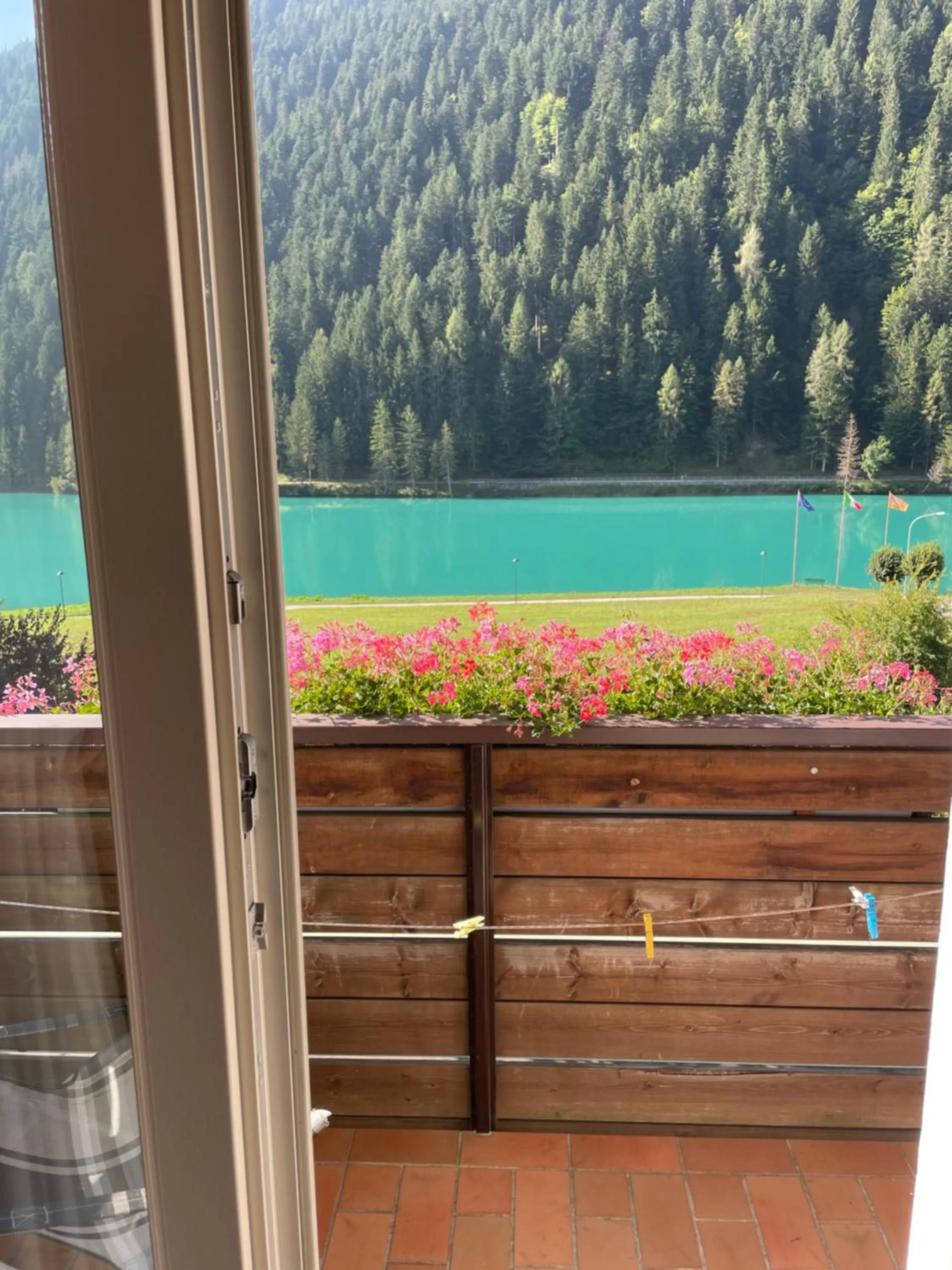 Spring in Hotel Panoramic
