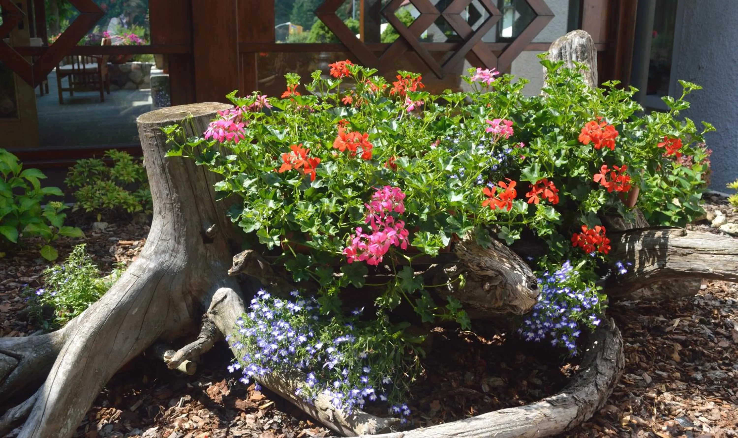 Garden in Hotel Panoramic