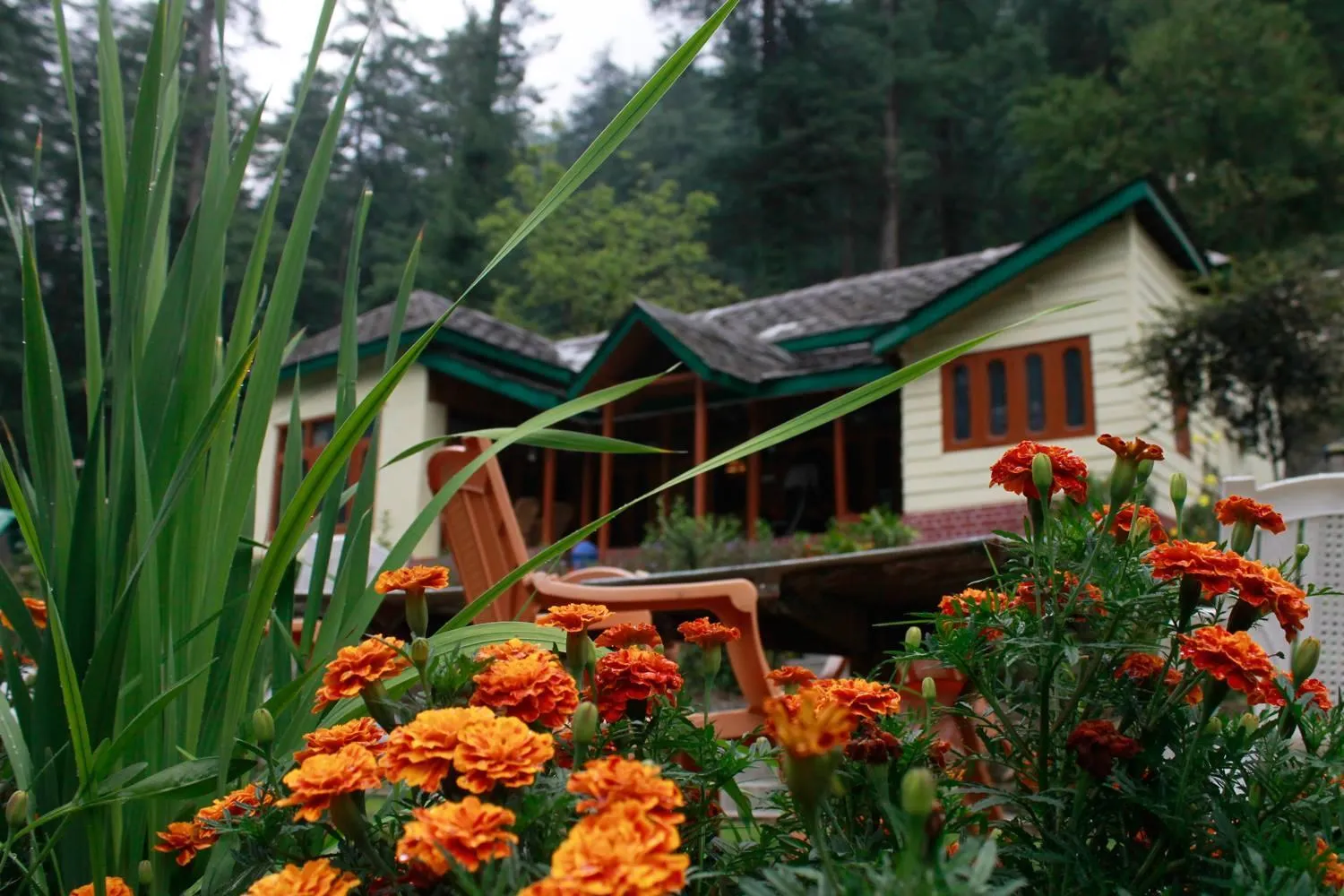 Natural landscape in Parvati Kuteer riverside resort