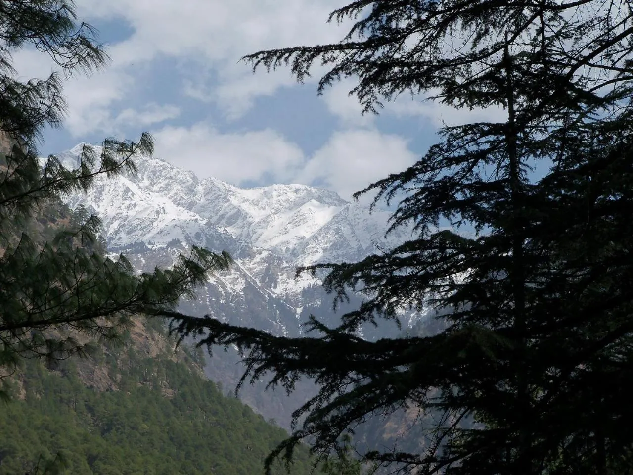 Natural landscape in Parvati Kuteer riverside resort