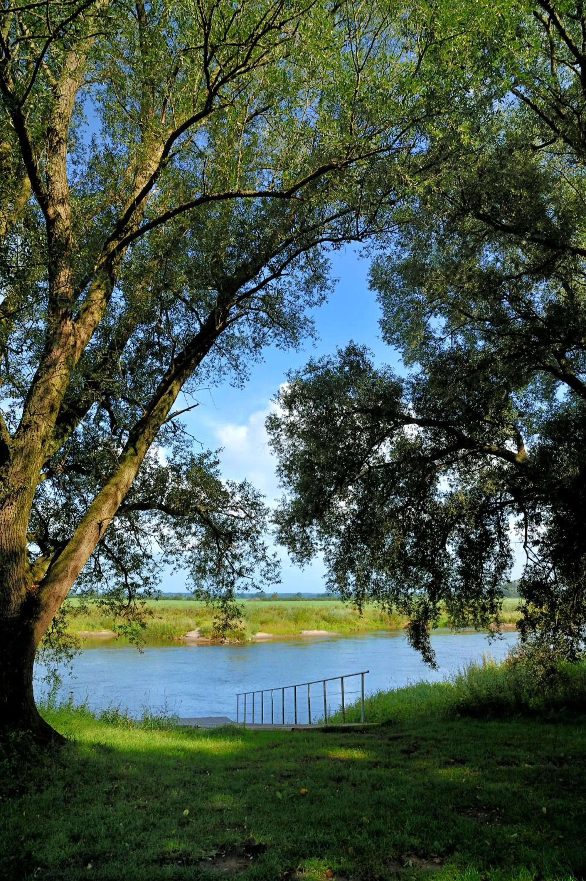 Natural landscape in Land-gut-Hotel Allerhof