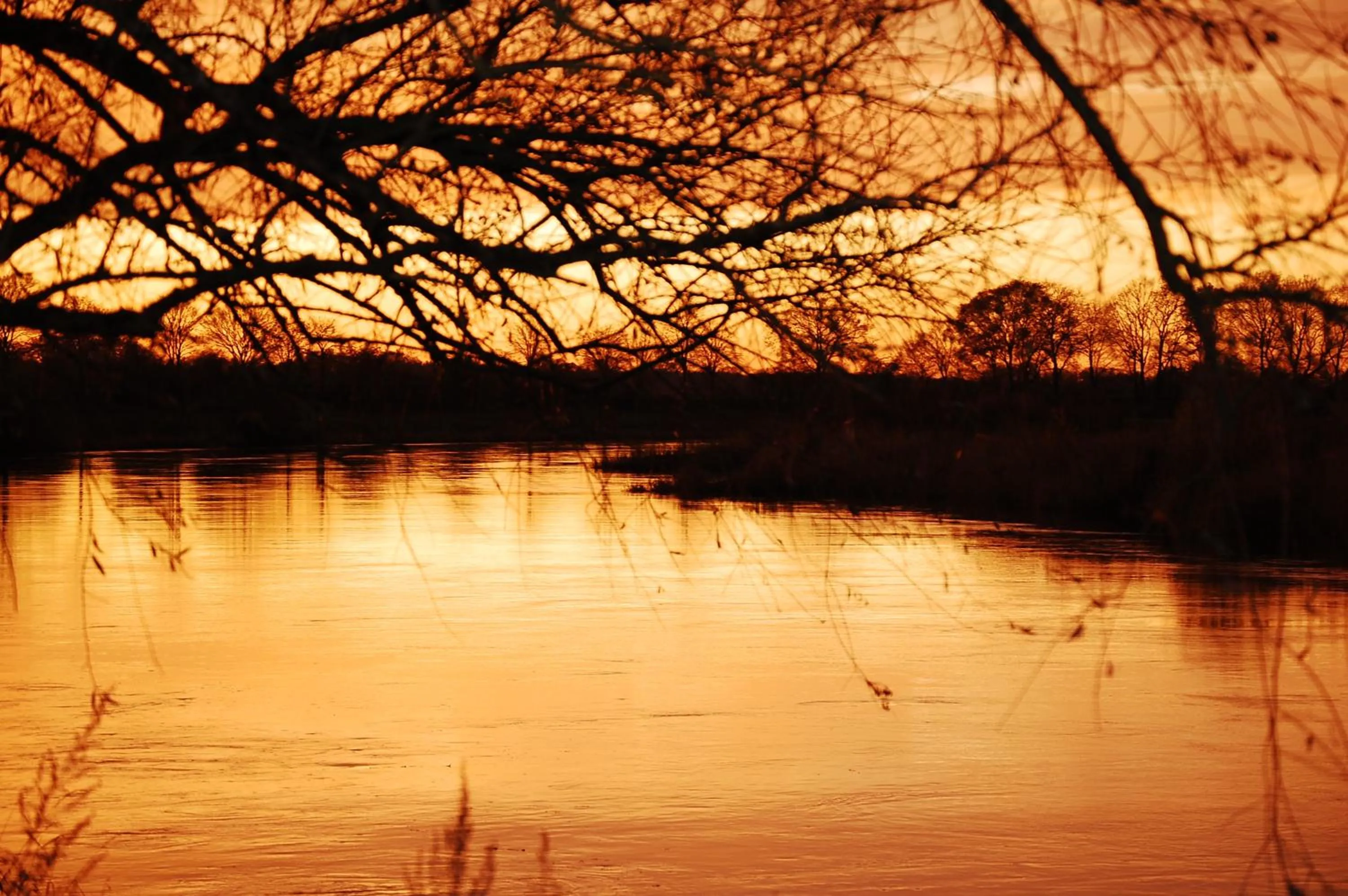 Natural landscape in Land-gut-Hotel Allerhof