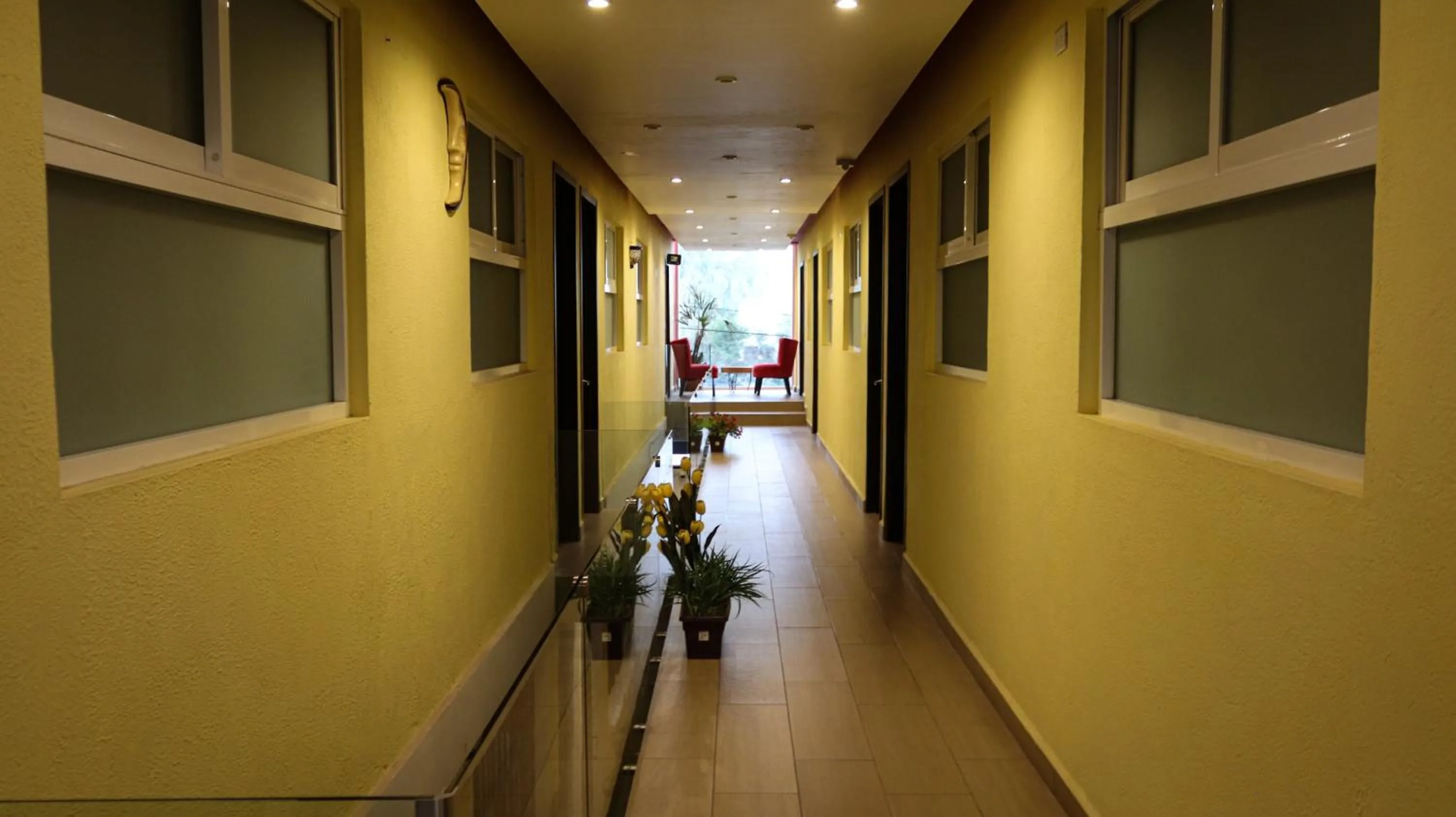 Area and facilities in Hotel Las Torres