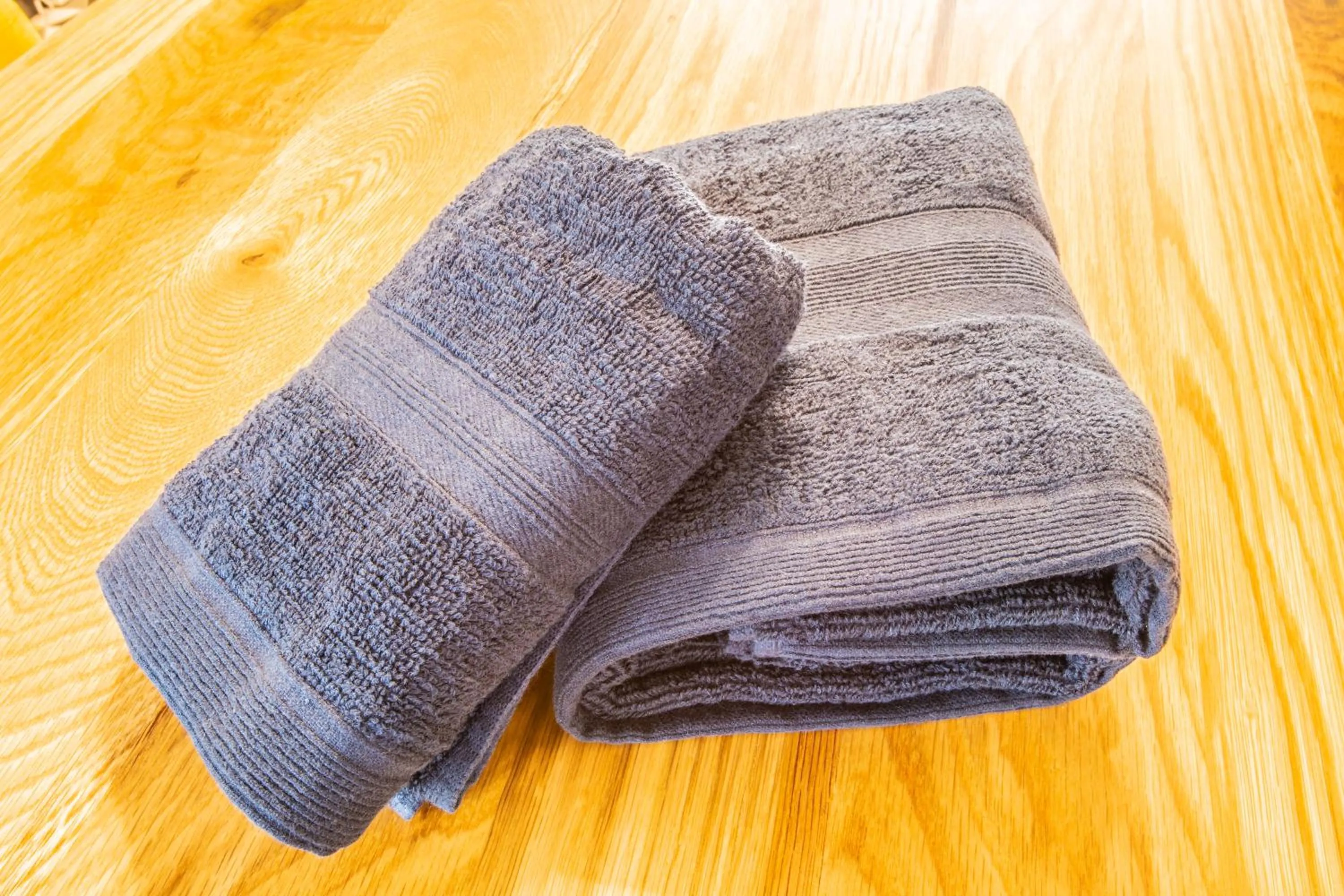 VILLENT Izukogen Oomuroyama