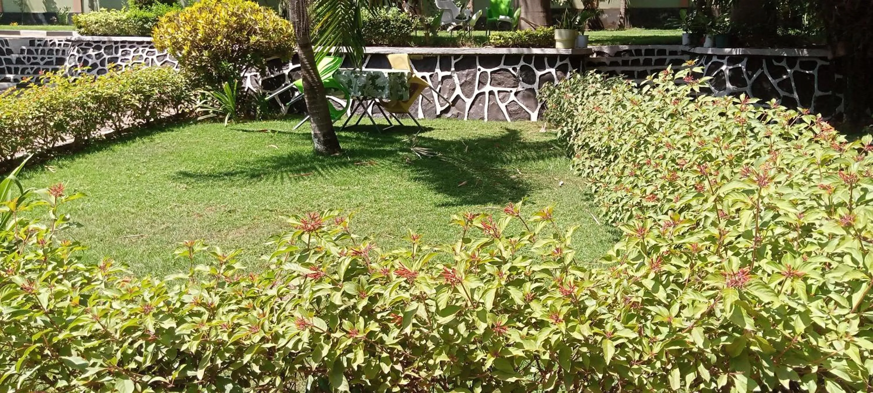 Garden in Africa Lodge Arusha
