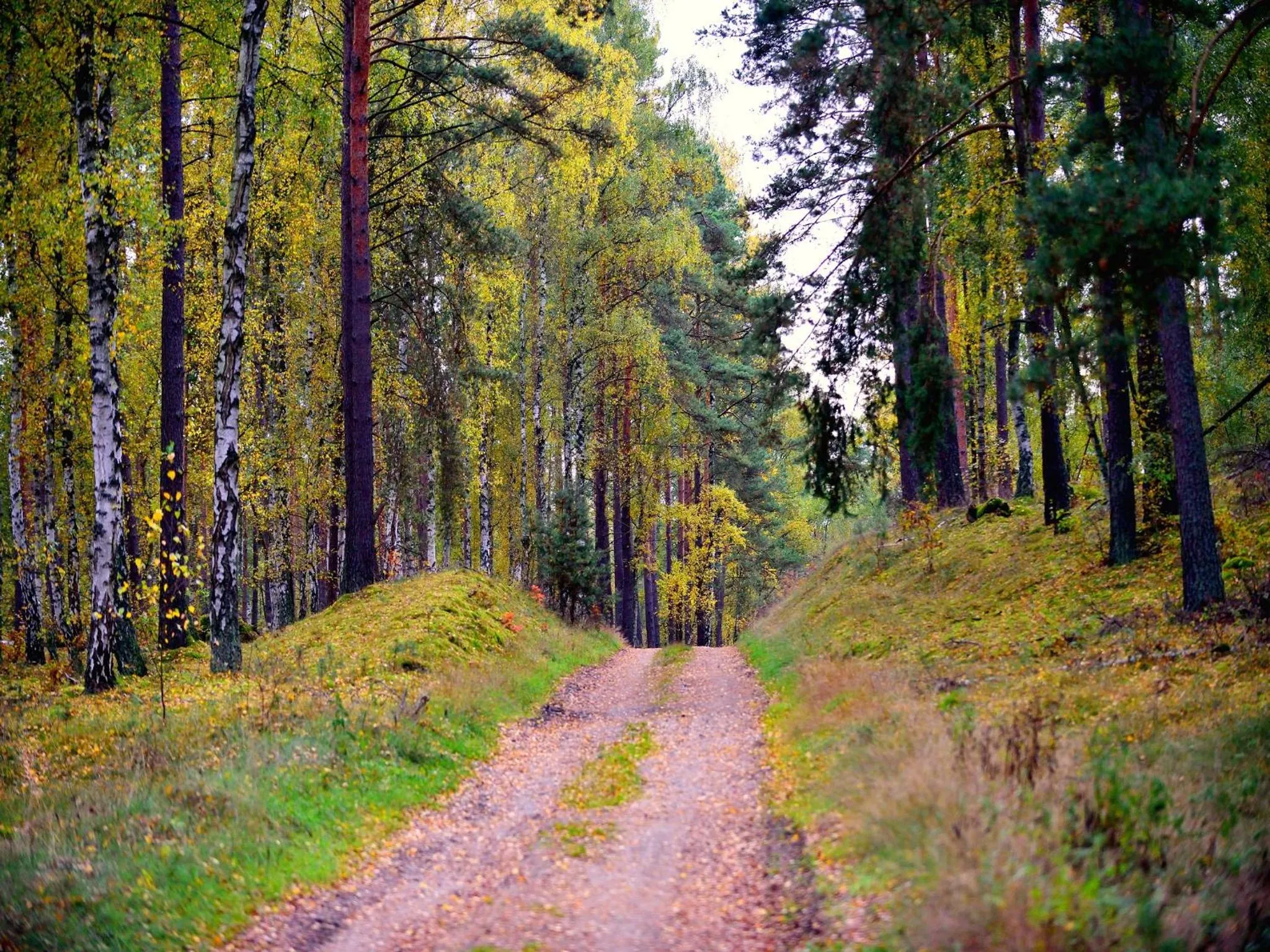 Hiking in Nationalparkhotel Kranichrast