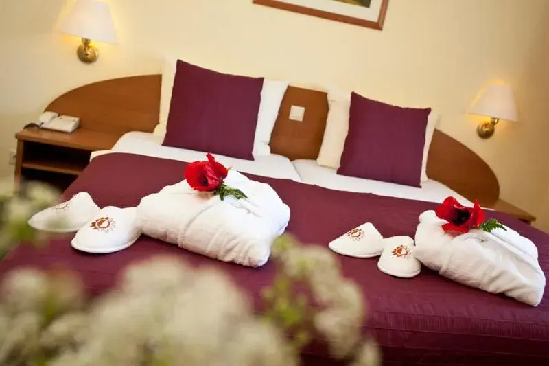 Double Room in Nationalparkhotel Kranichrast Double Room in Nationalparkhotel Kranichrast