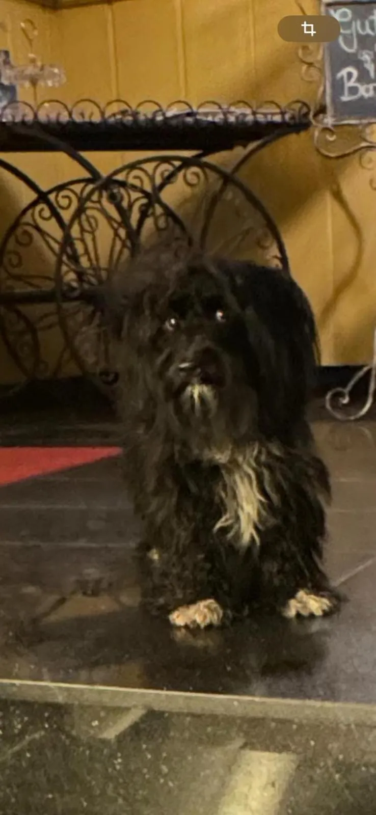 Decorative detail in Hotel Drei Kronen