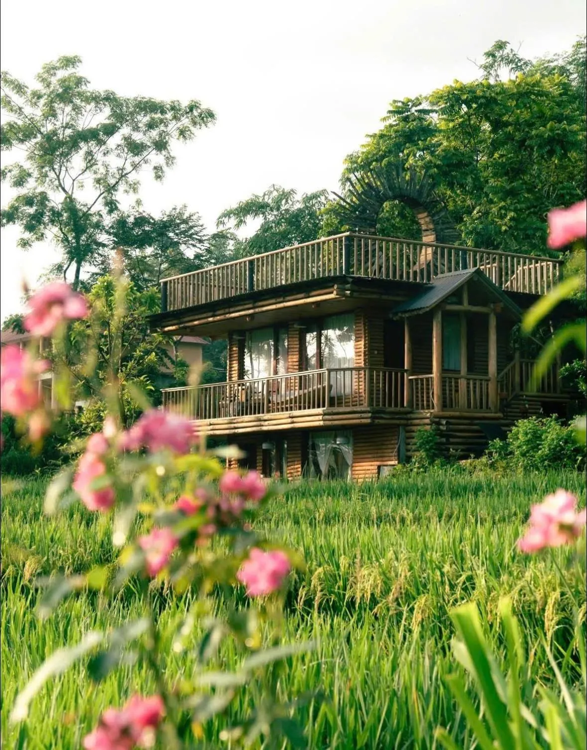 Property building in Pu Luong Jungle Lodge