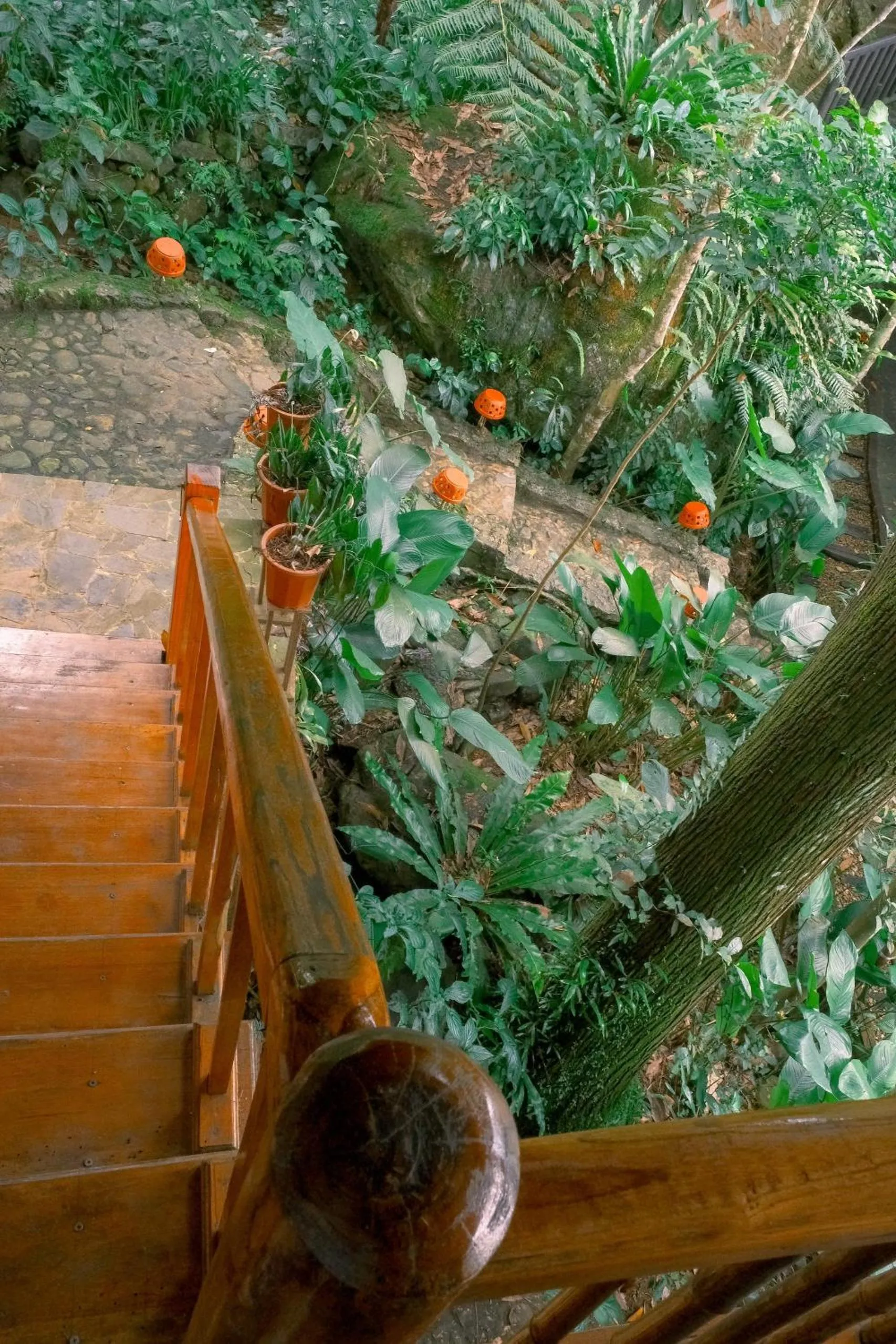 Other in Pu Luong Jungle Lodge