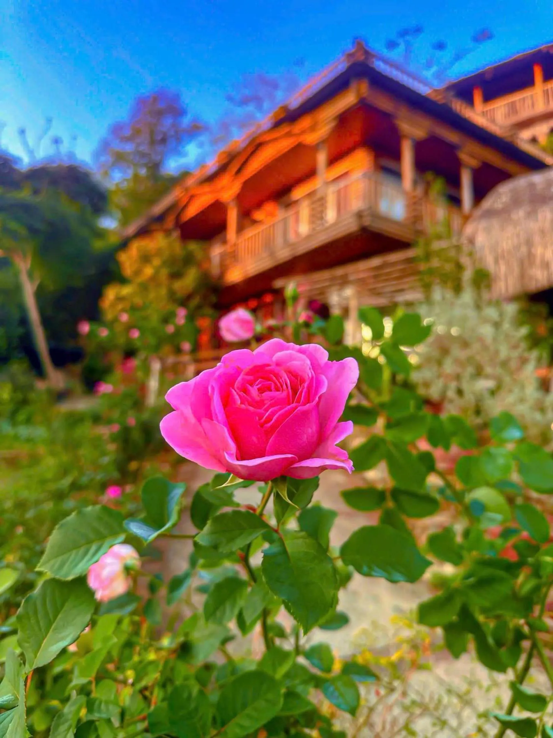 Natural landscape in Pu Luong Jungle Lodge