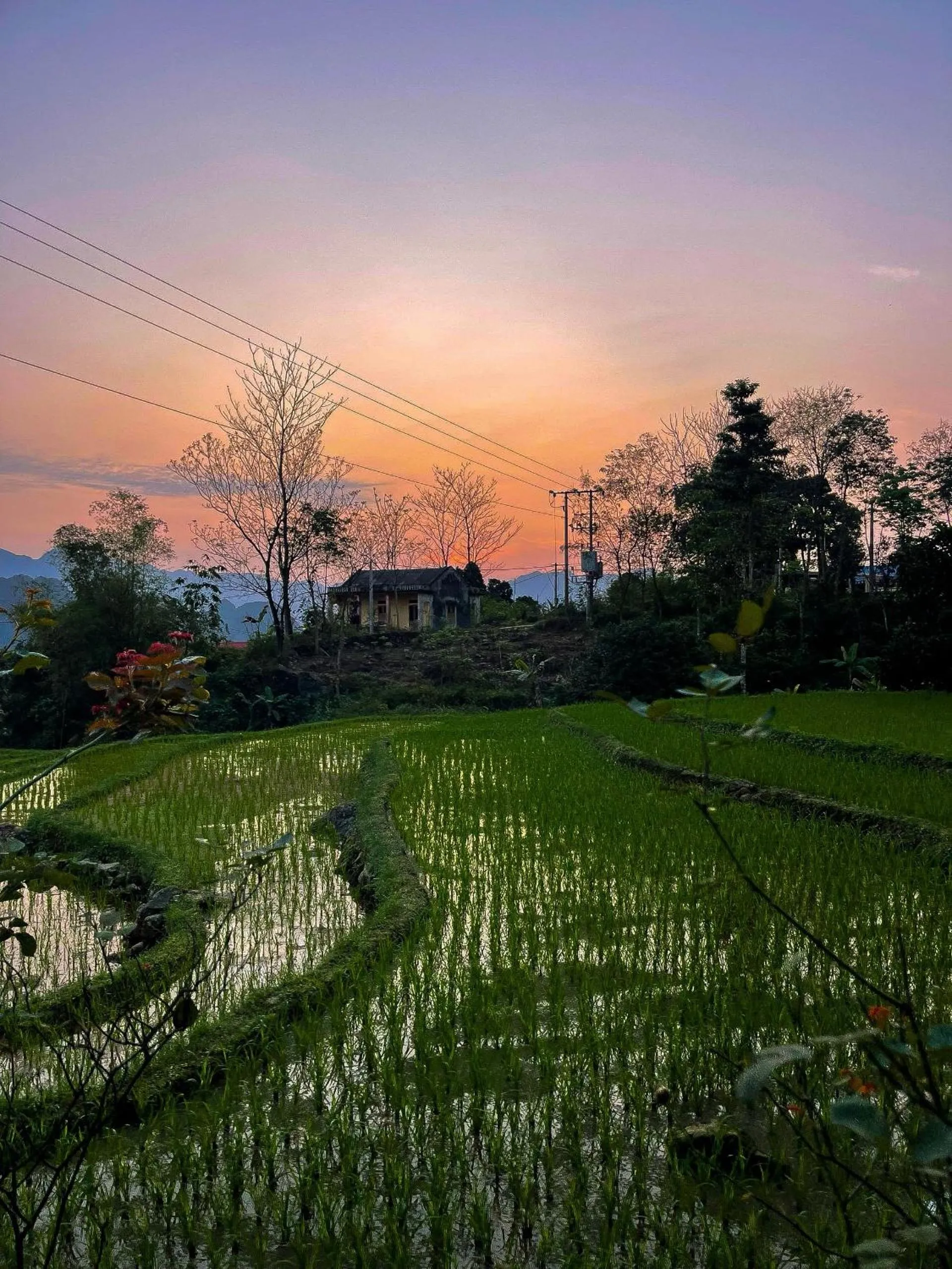 Natural landscape in Pu Luong Jungle Lodge