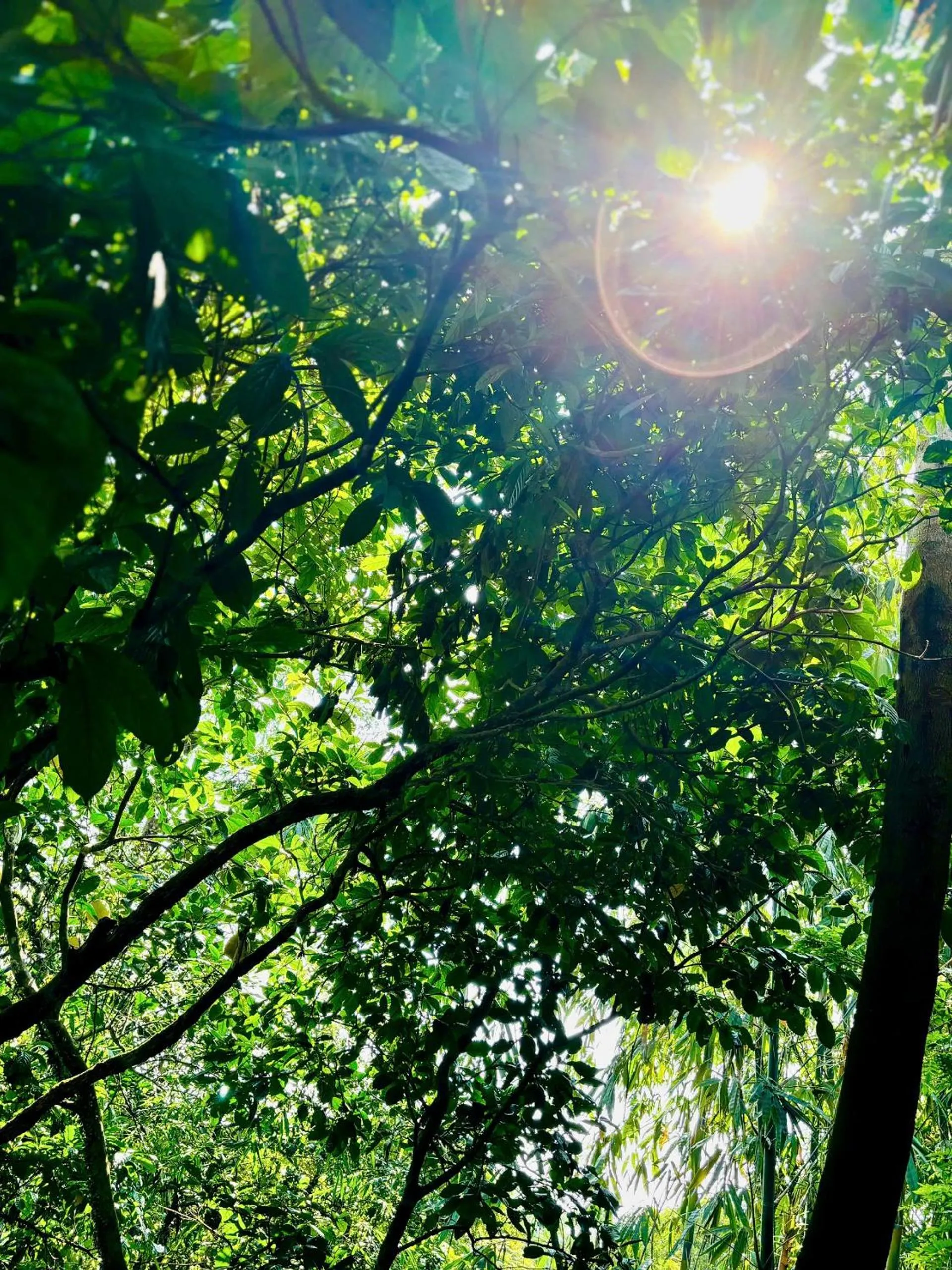 On site in Pu Luong Jungle Lodge