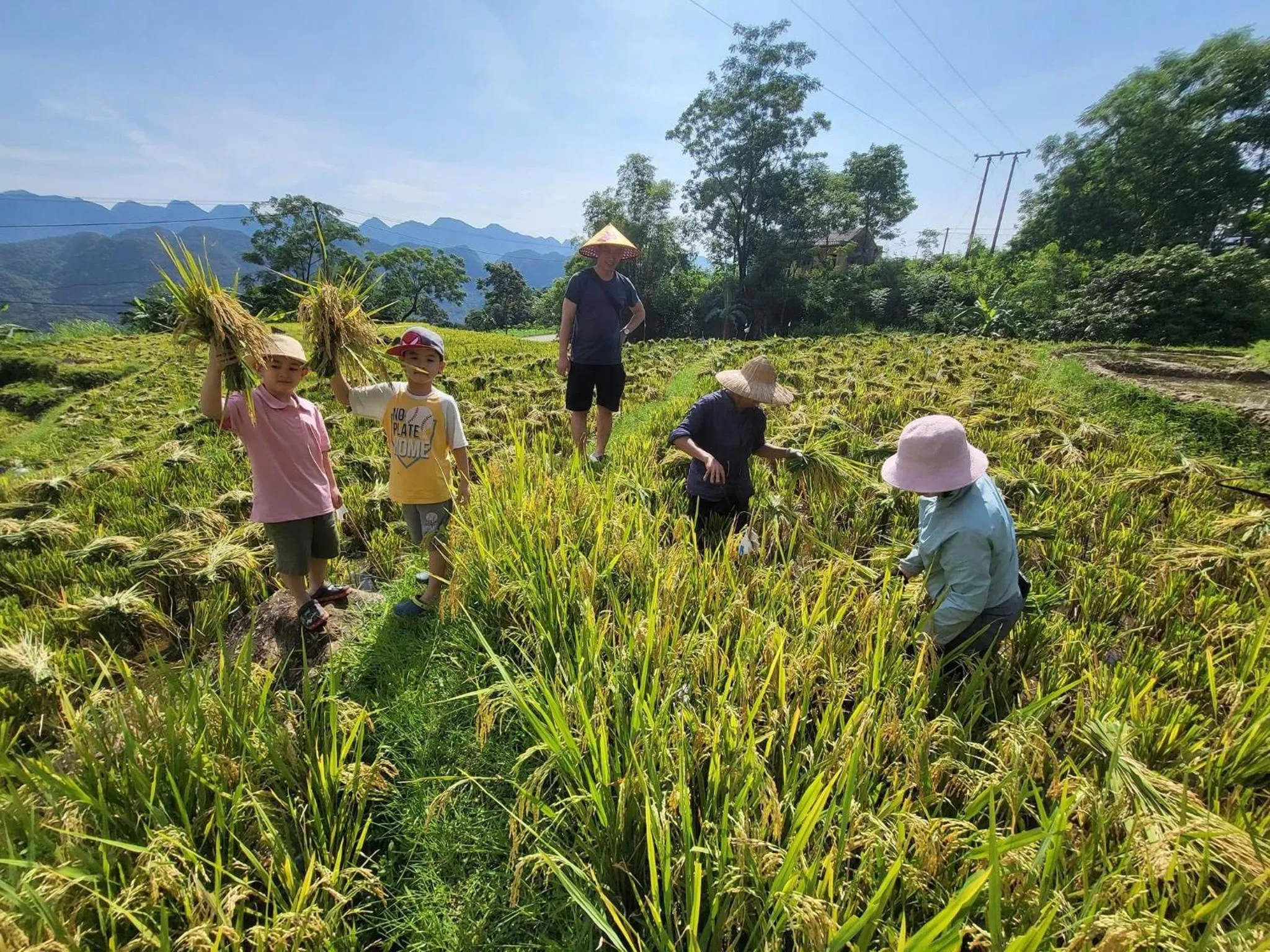 Activities in Pu Luong Jungle Lodge