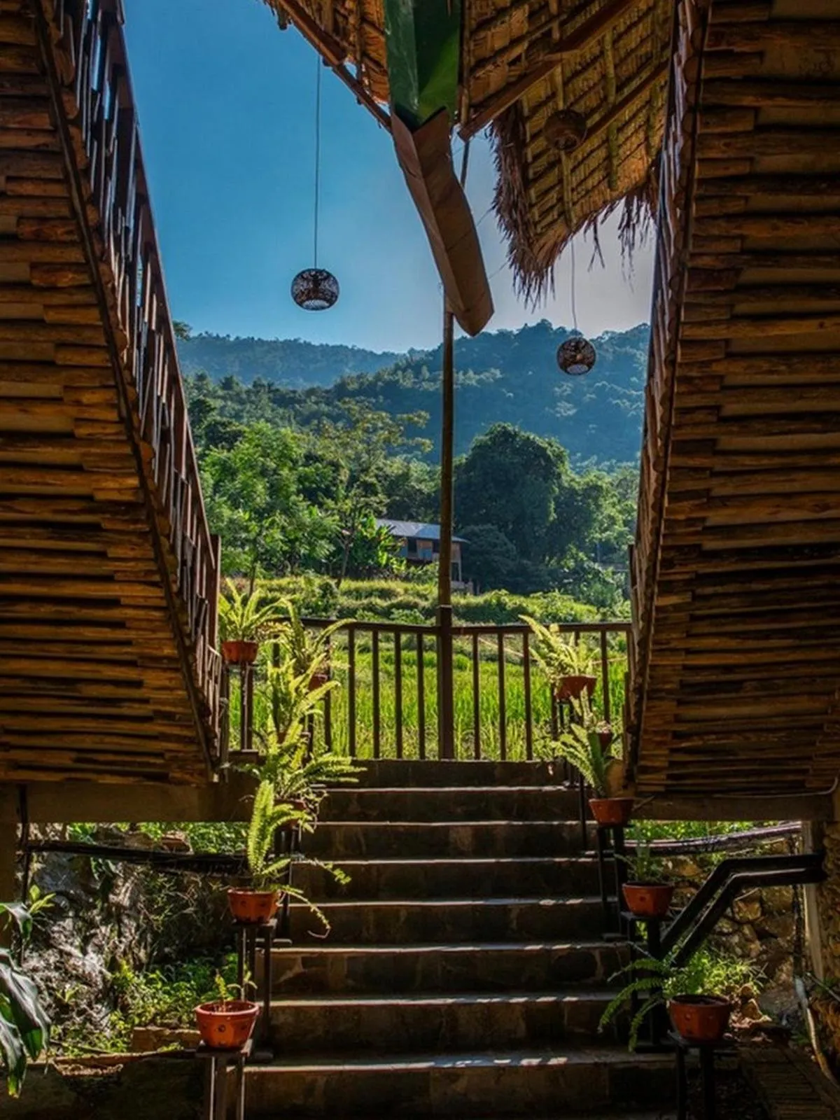 View (from property/room) in Pu Luong Jungle Lodge