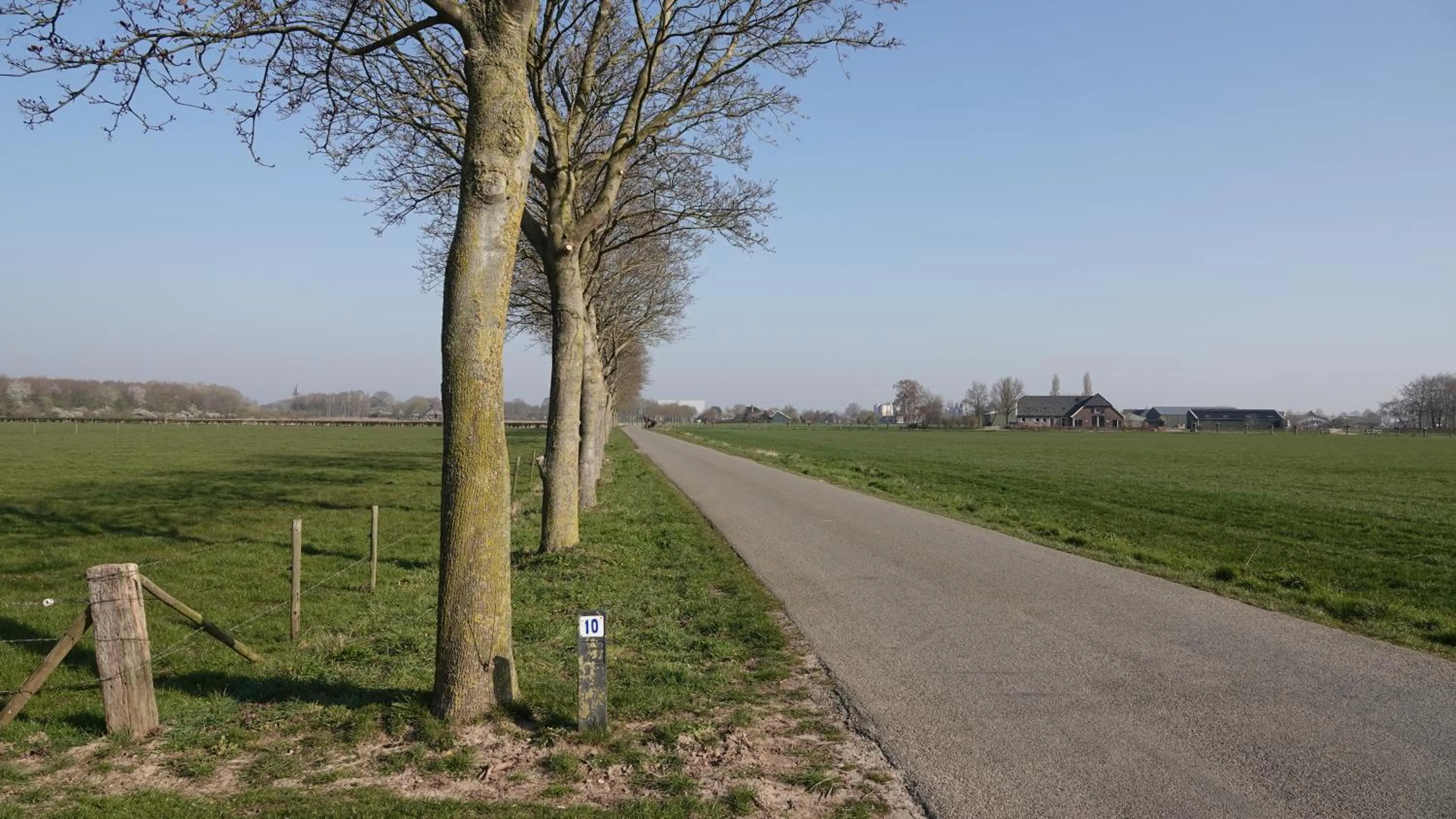 Natural landscape in B&B Bij Bronckhorst
