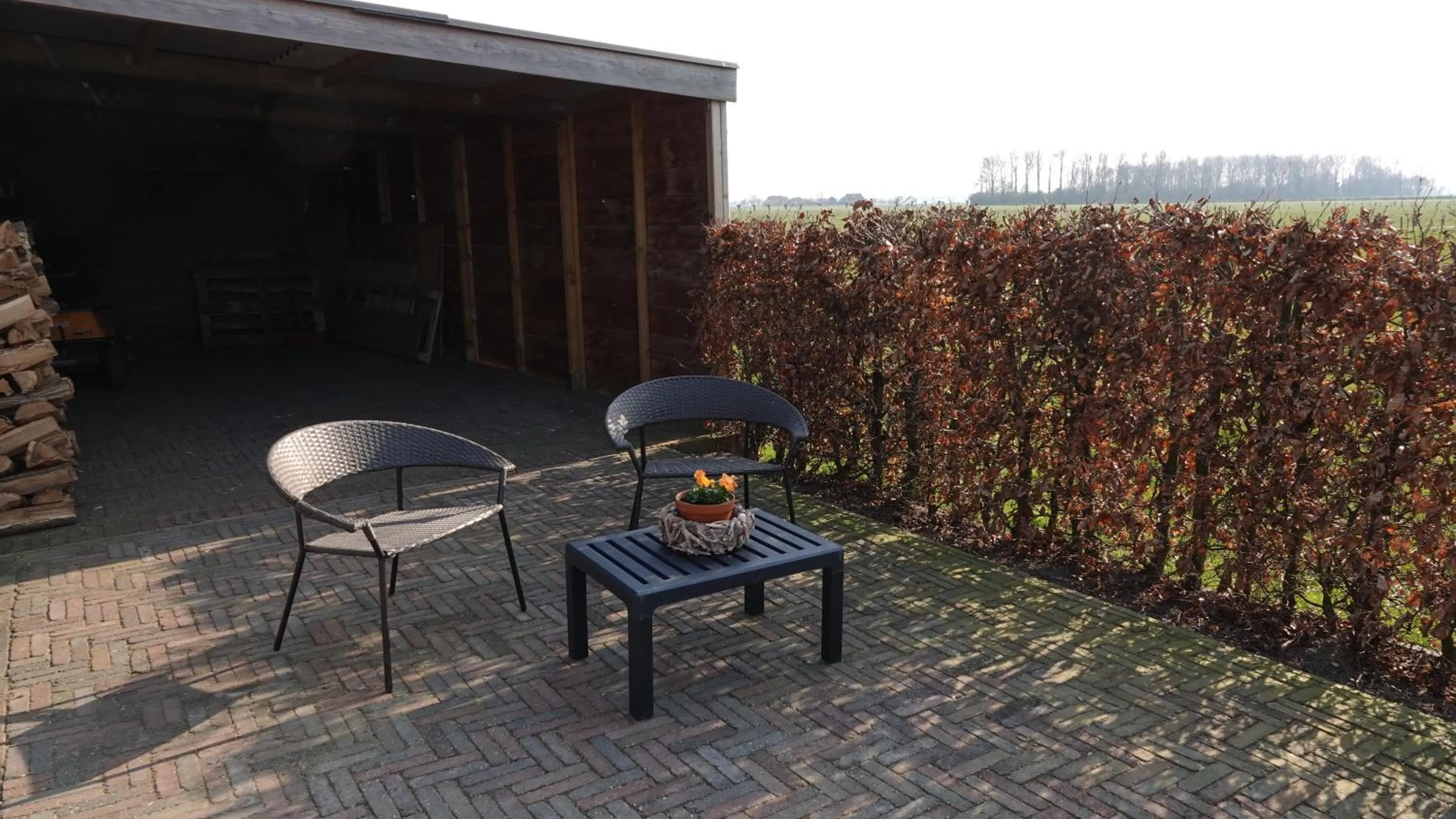 Patio in B&B Bij Bronckhorst