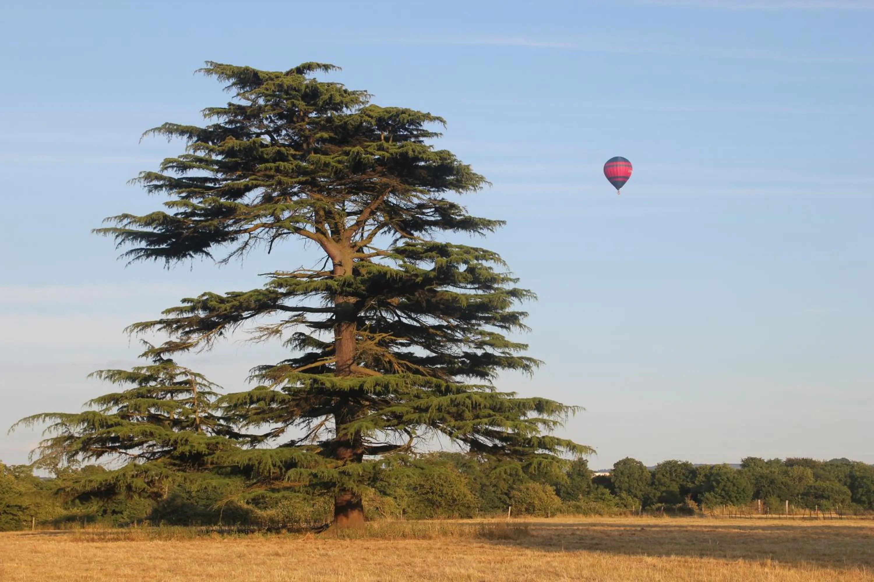 Neighbourhood in The Coach House