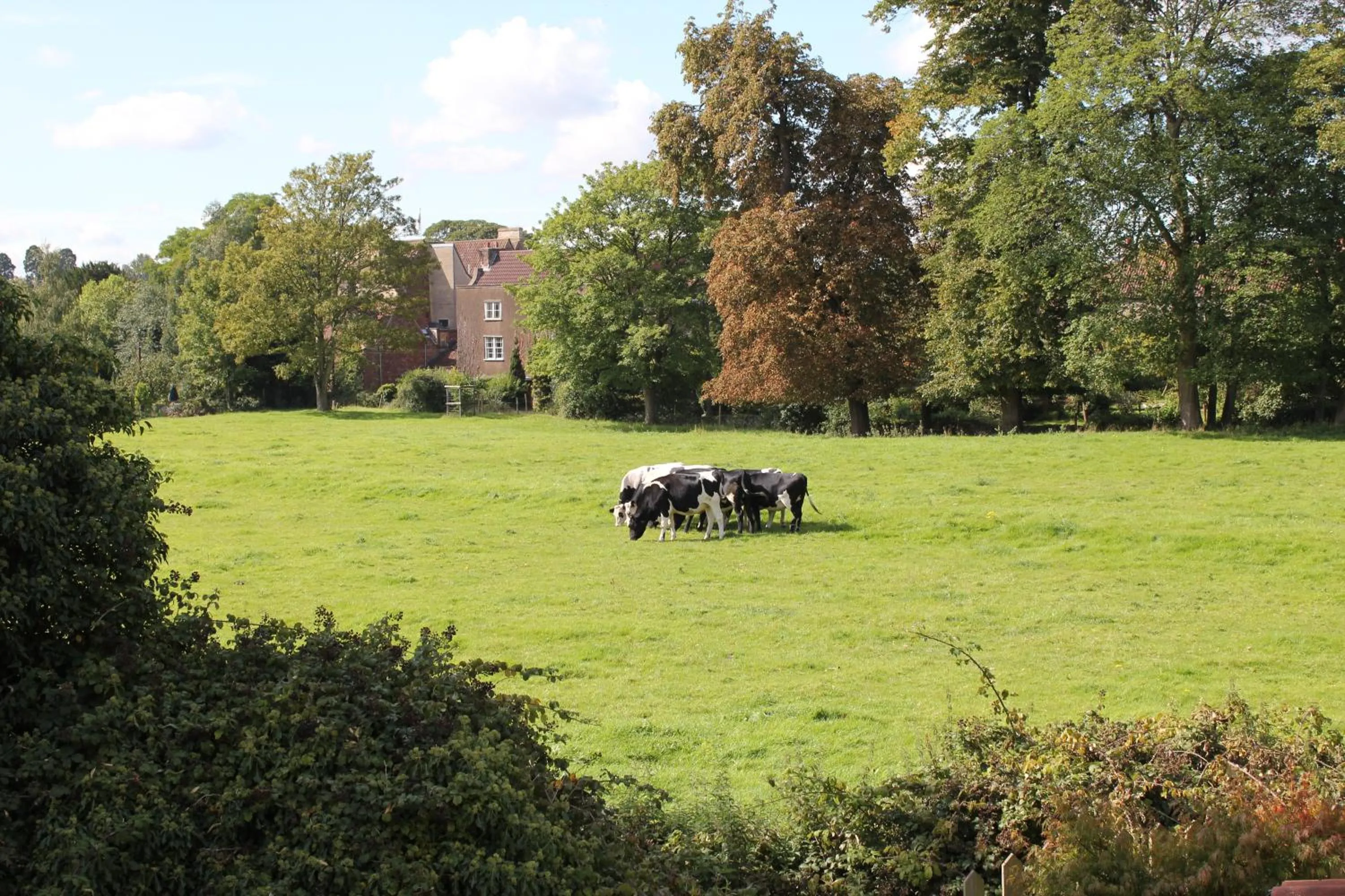 Other in The Coach House