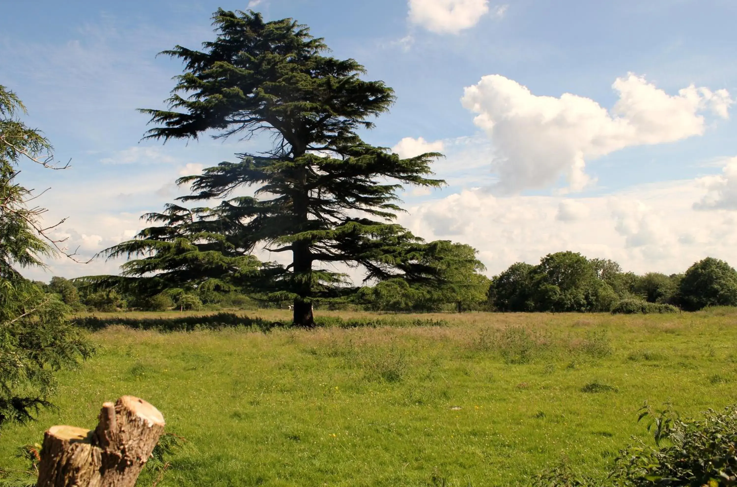 View (from property/room) in The Coach House View (from property/room) in The Coach House