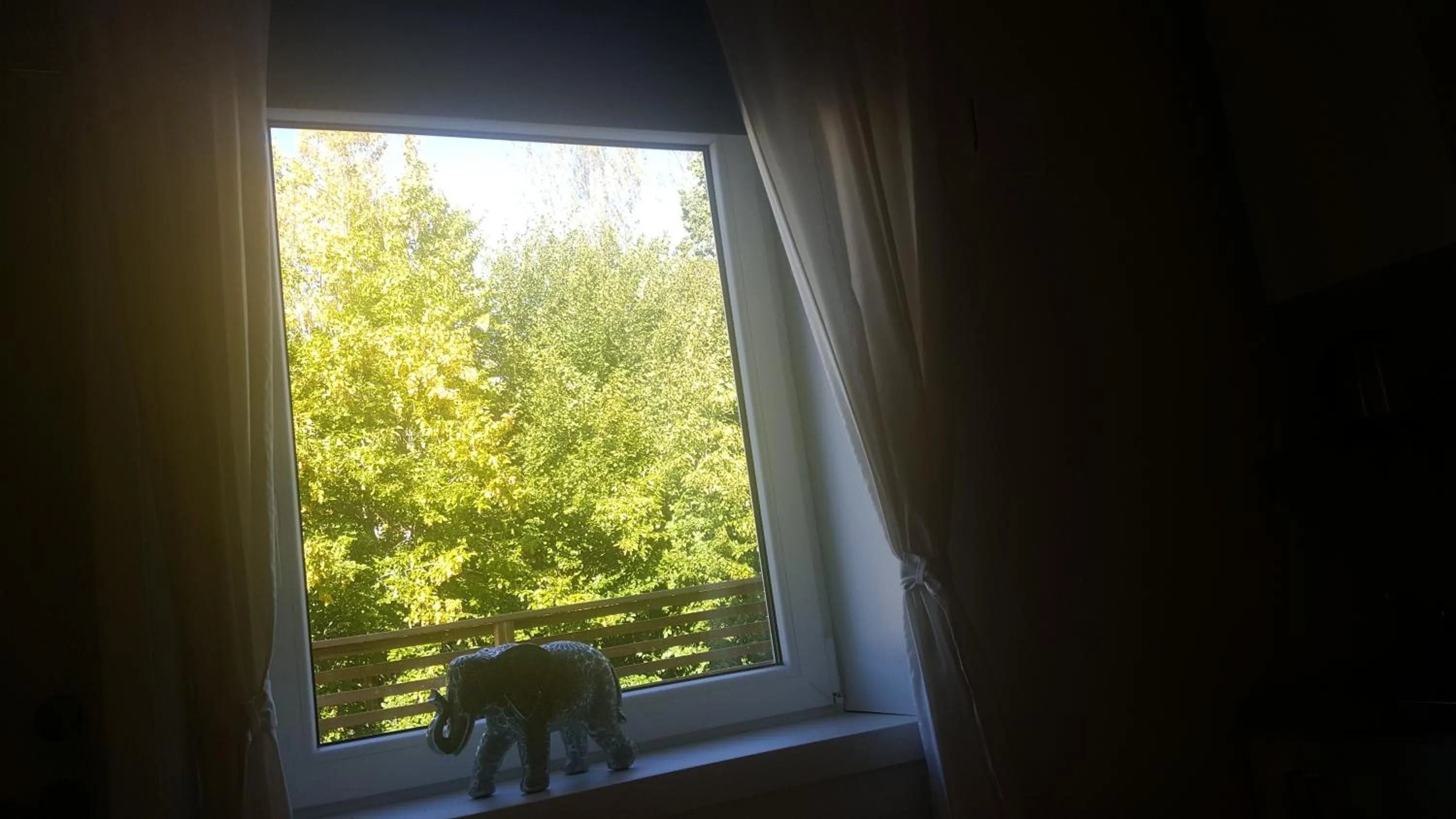 Other in SJÖTORPS HOSTEL